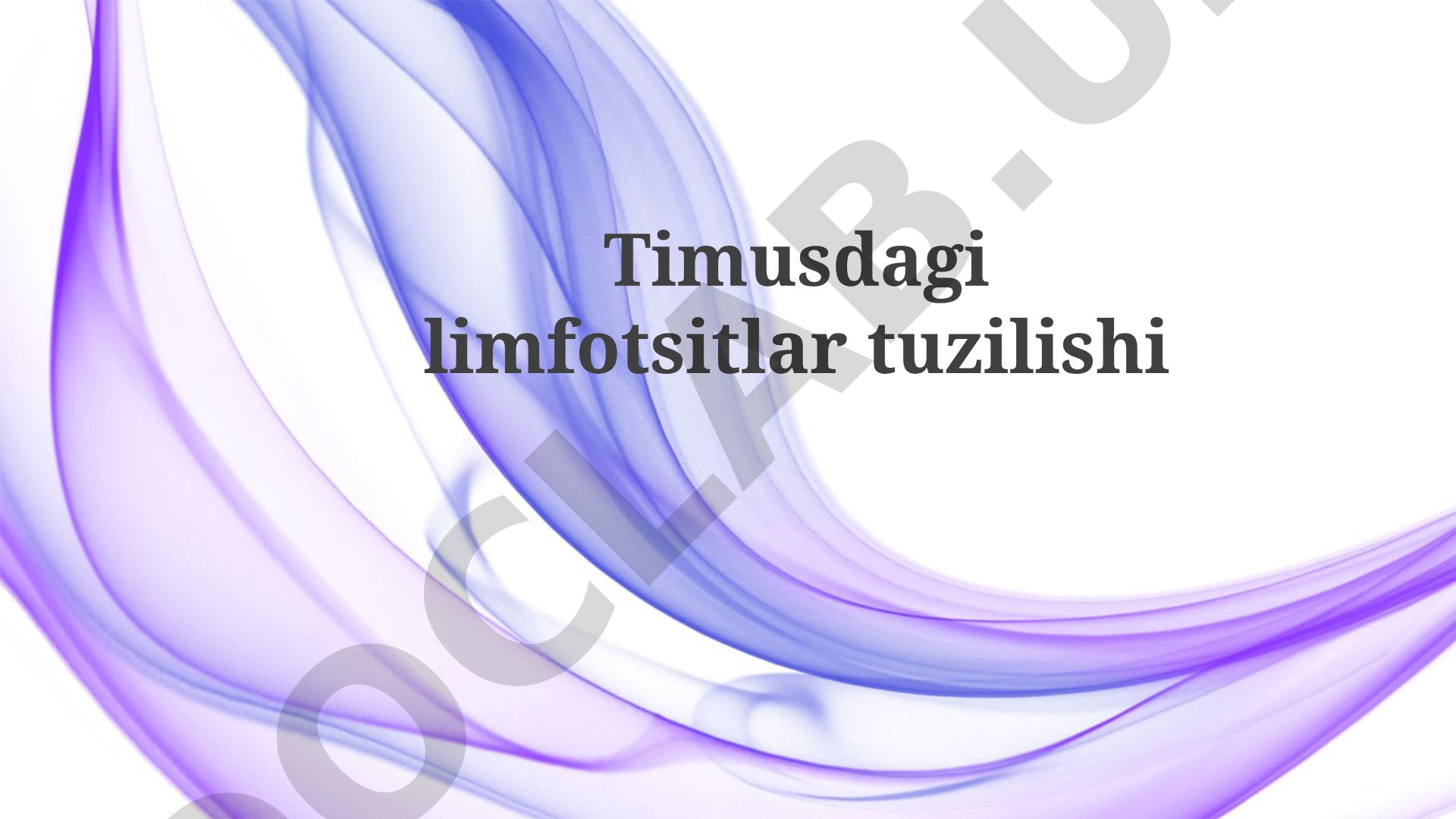 Timusdagi limfotsitlar tuzilishi