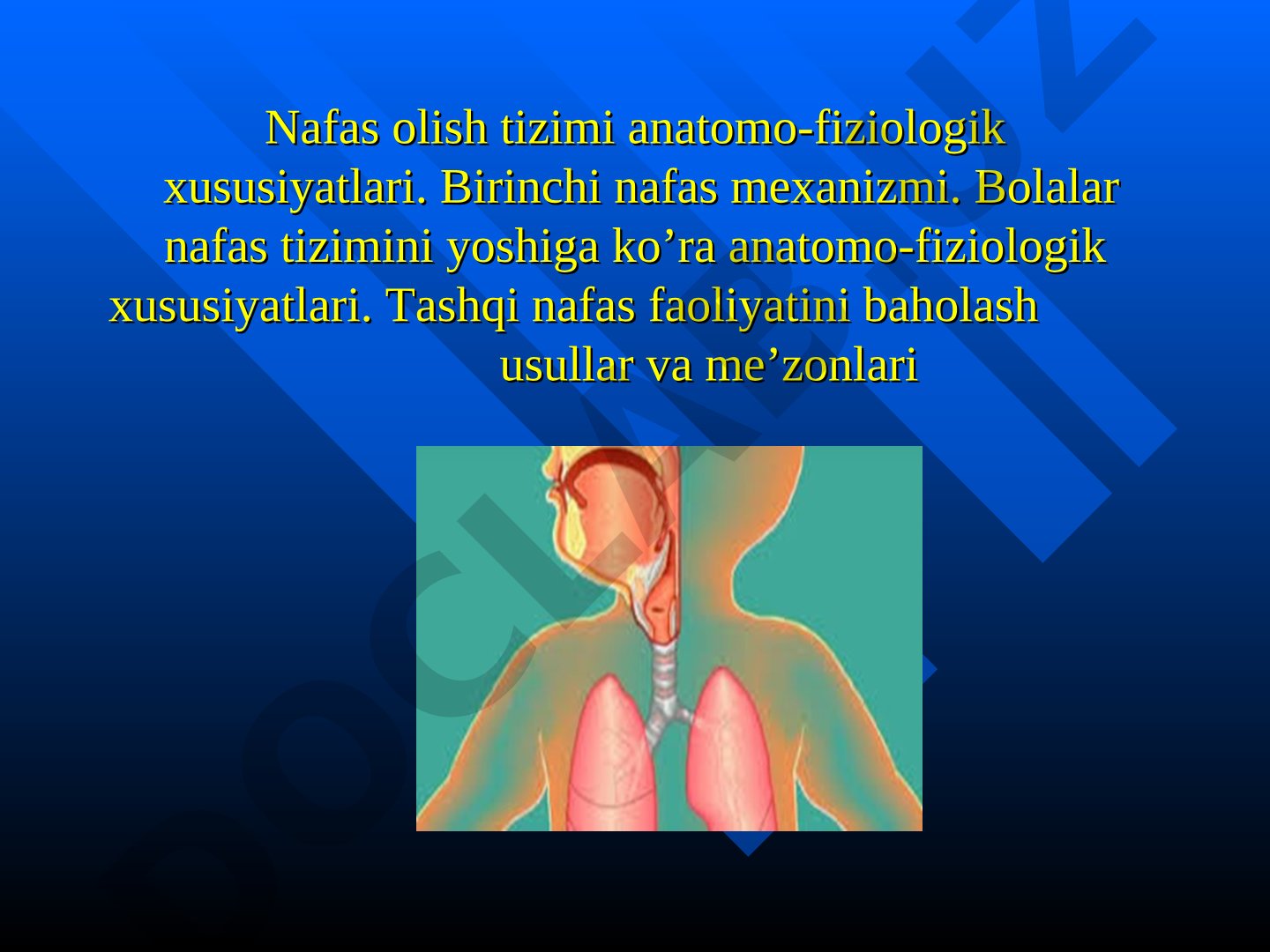 Nafas olish tizimi anatomо-fiziologik xususiyatlari