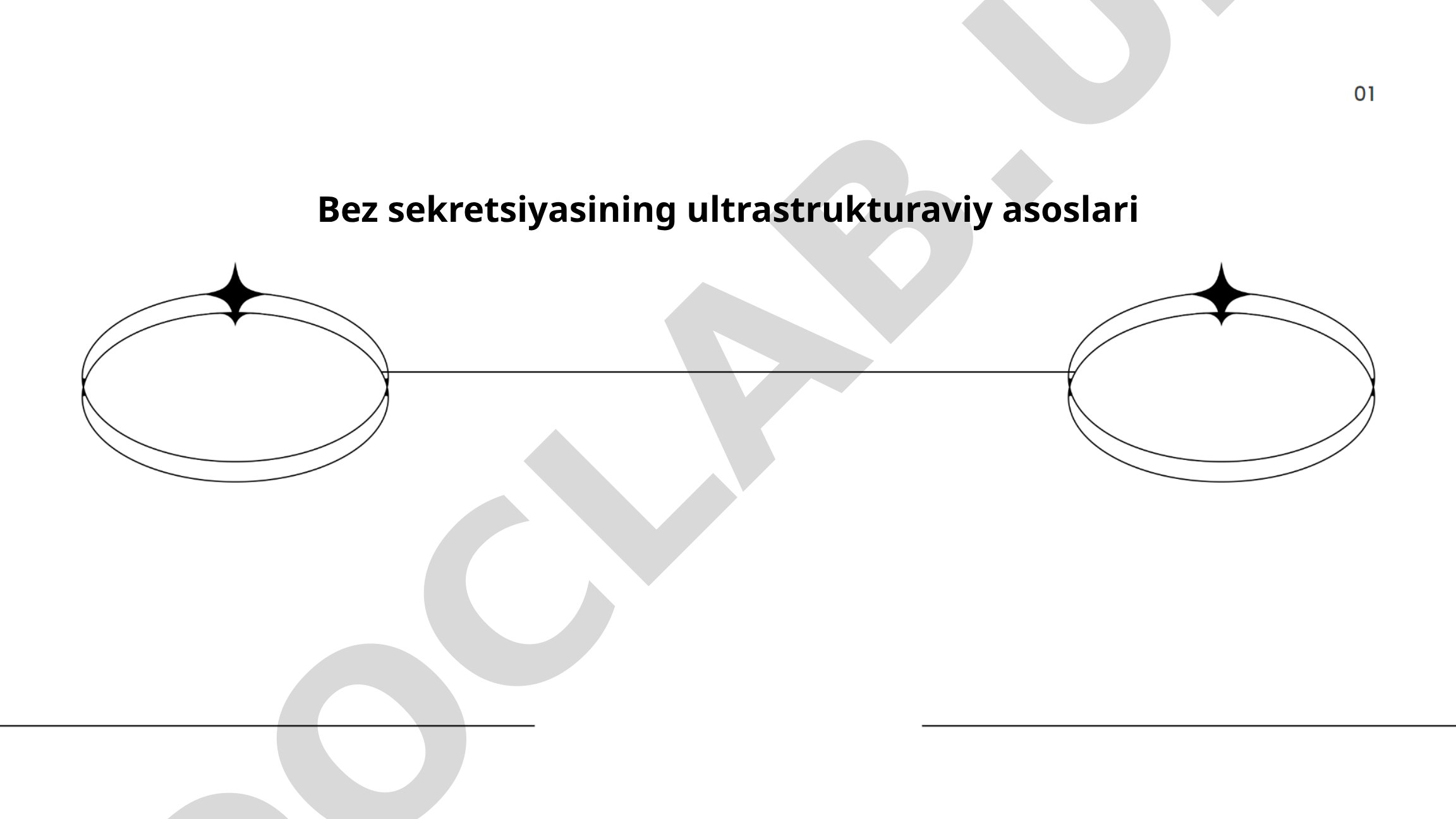 Bez sekretsiyasining ultrastrukturaviy asoslari
