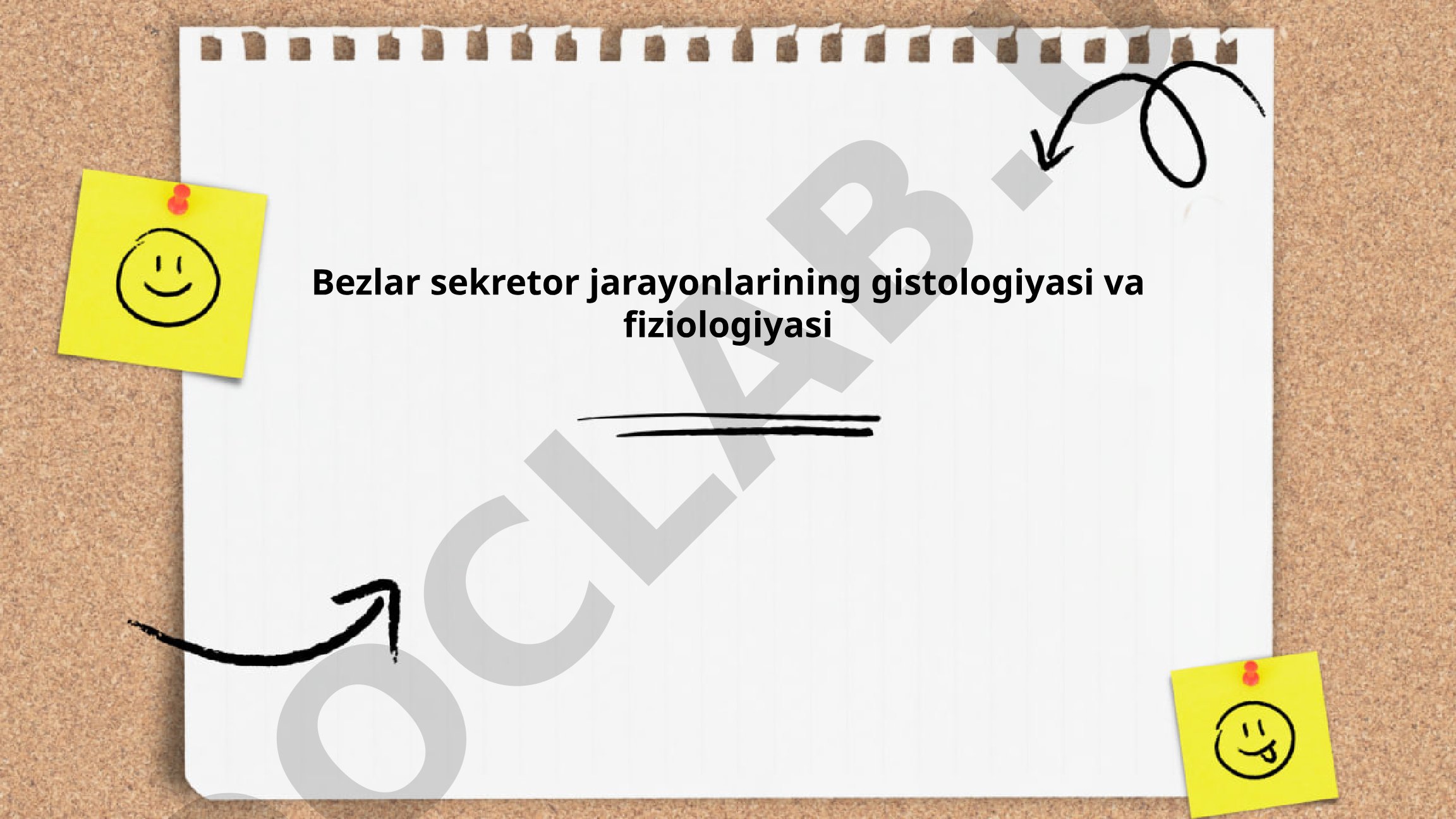 Bezlar sekretor jarayonlarining gistologiyasi va fiziologiyasi