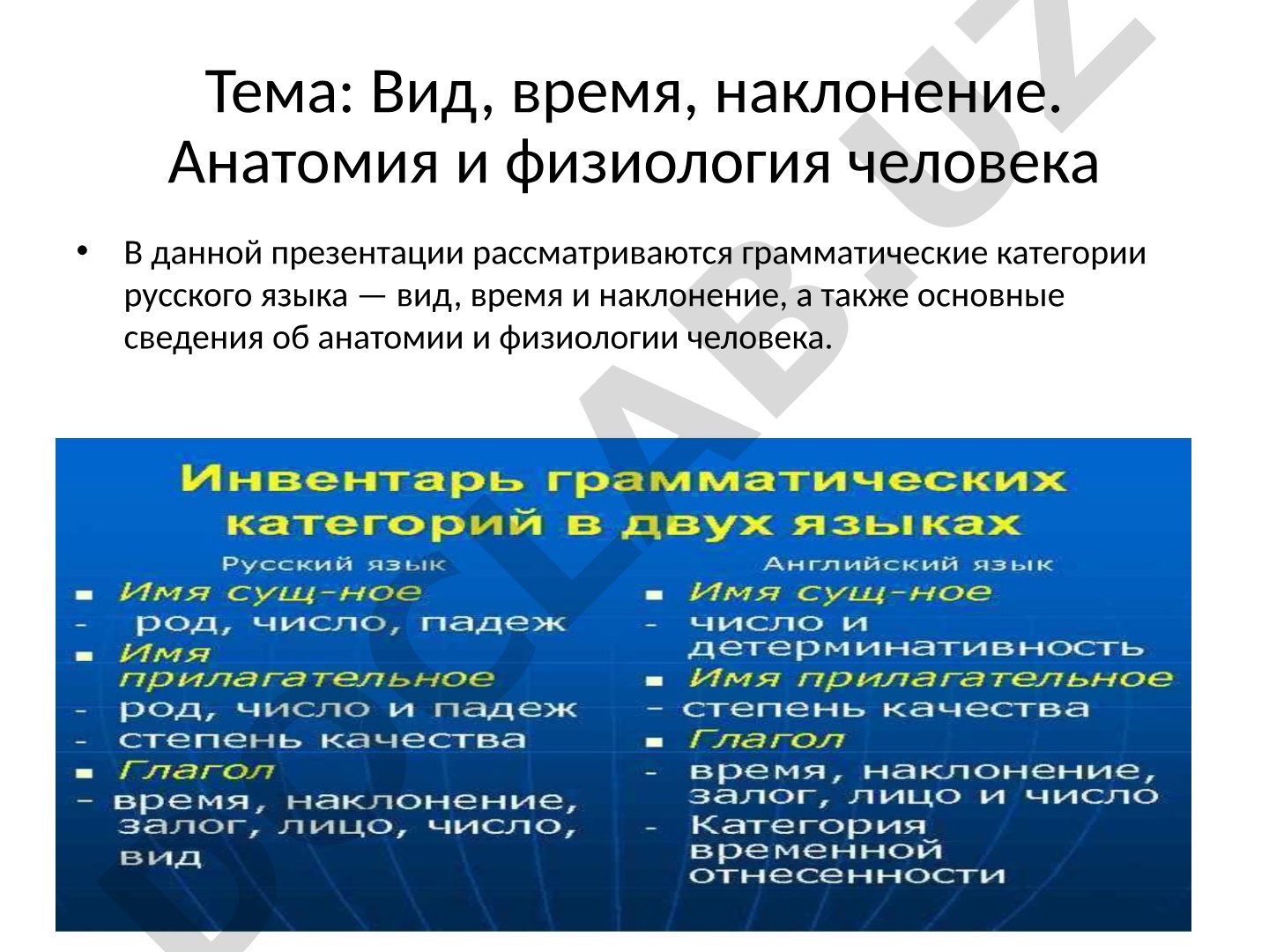 Вид, время, наклонение. Анатомия и физиология человека