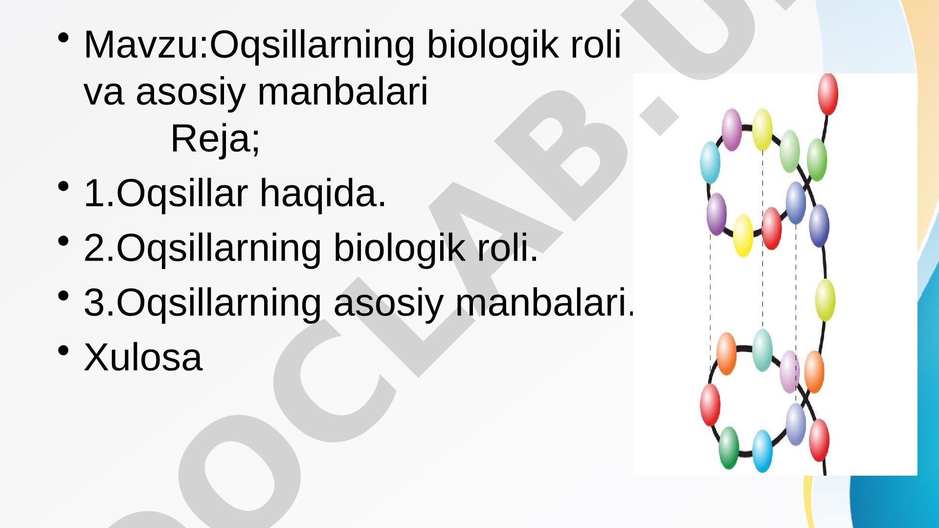 Oqsillarning biologik roli va asosiy manbalari