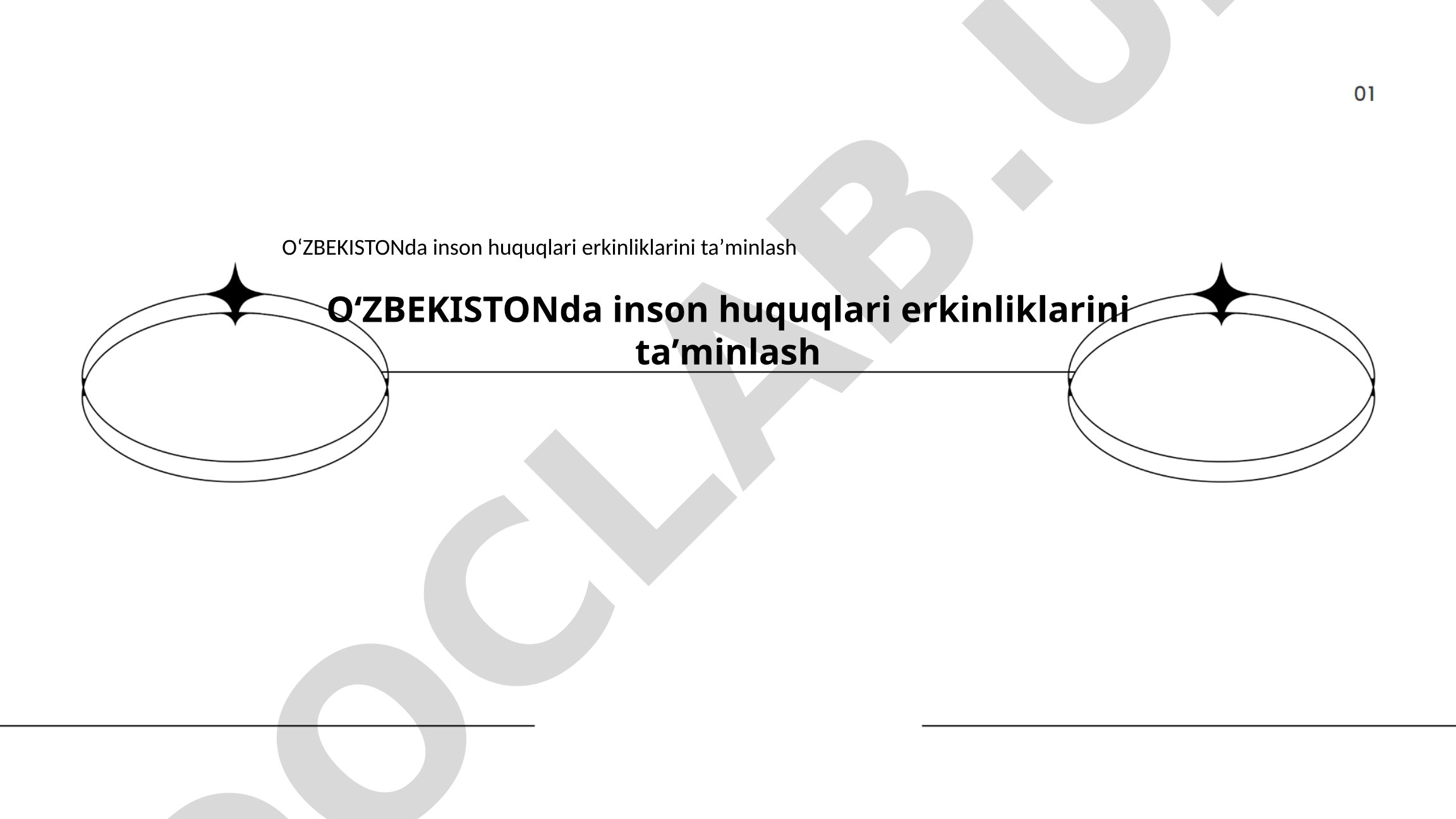 O'zbekistonda inson huquqlari erkinliklarini ta'minlash