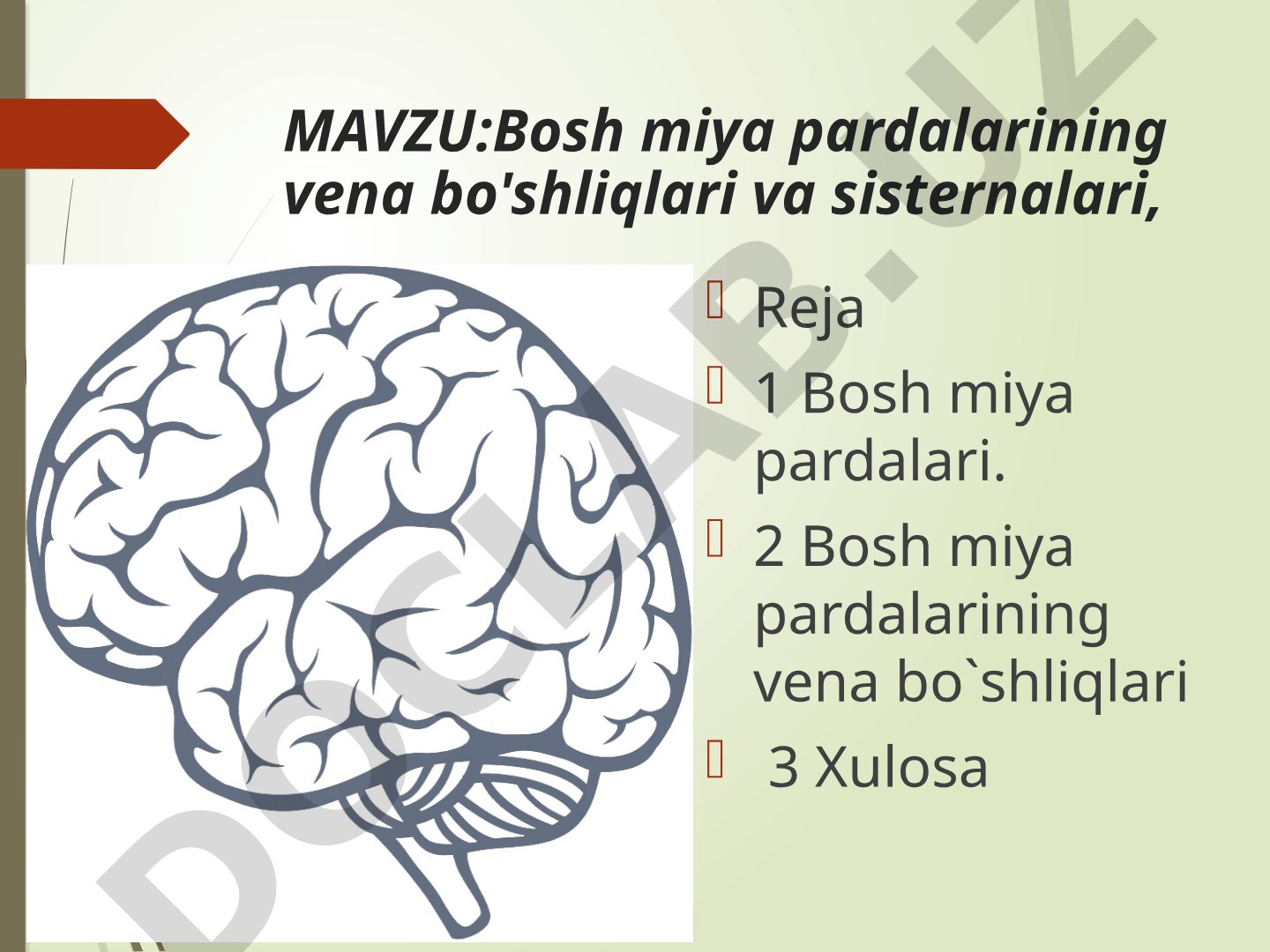 Bosh miya pardalarining vena bo'shliqlari va sisternalari