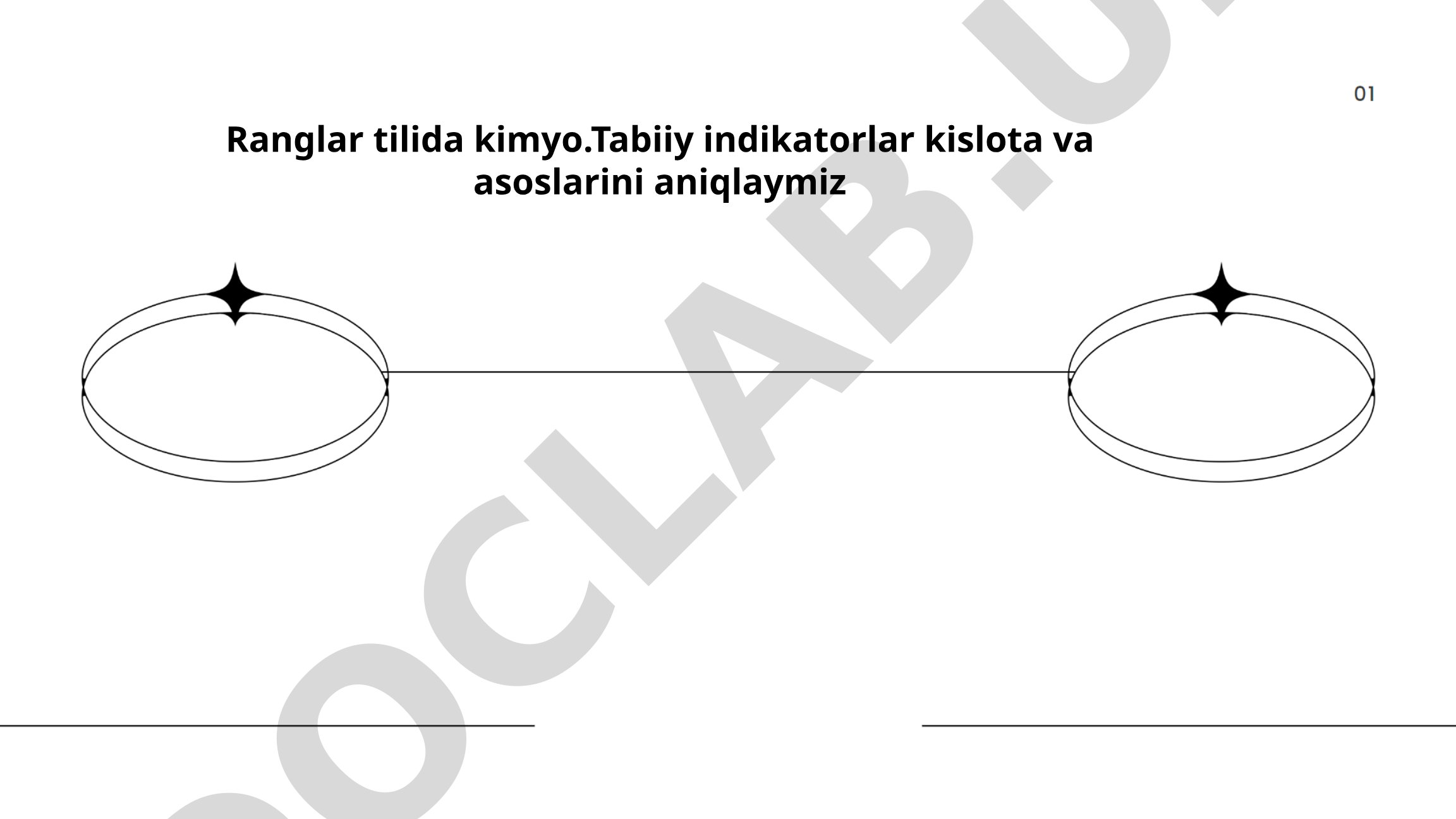Ranglar tilida kimyo: Tabiiy indikatorlar kislota va asoslarini aniqlaymiz