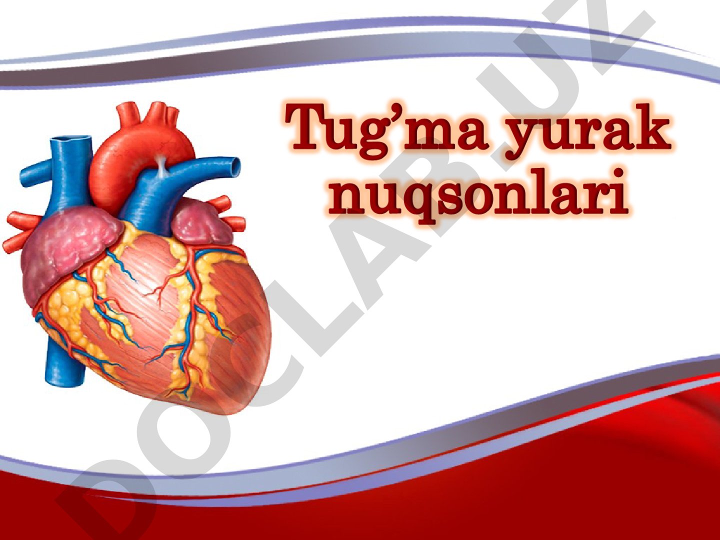 Yurak nuqsonlari: tug'ma va orttirilgan