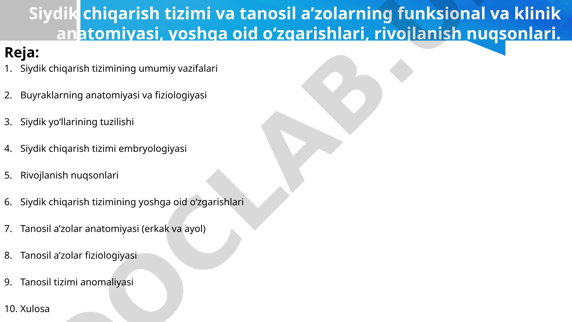 Siydik chiqarish tizimi va tanosil a'zolarning funksional va klinik anatomiyasi