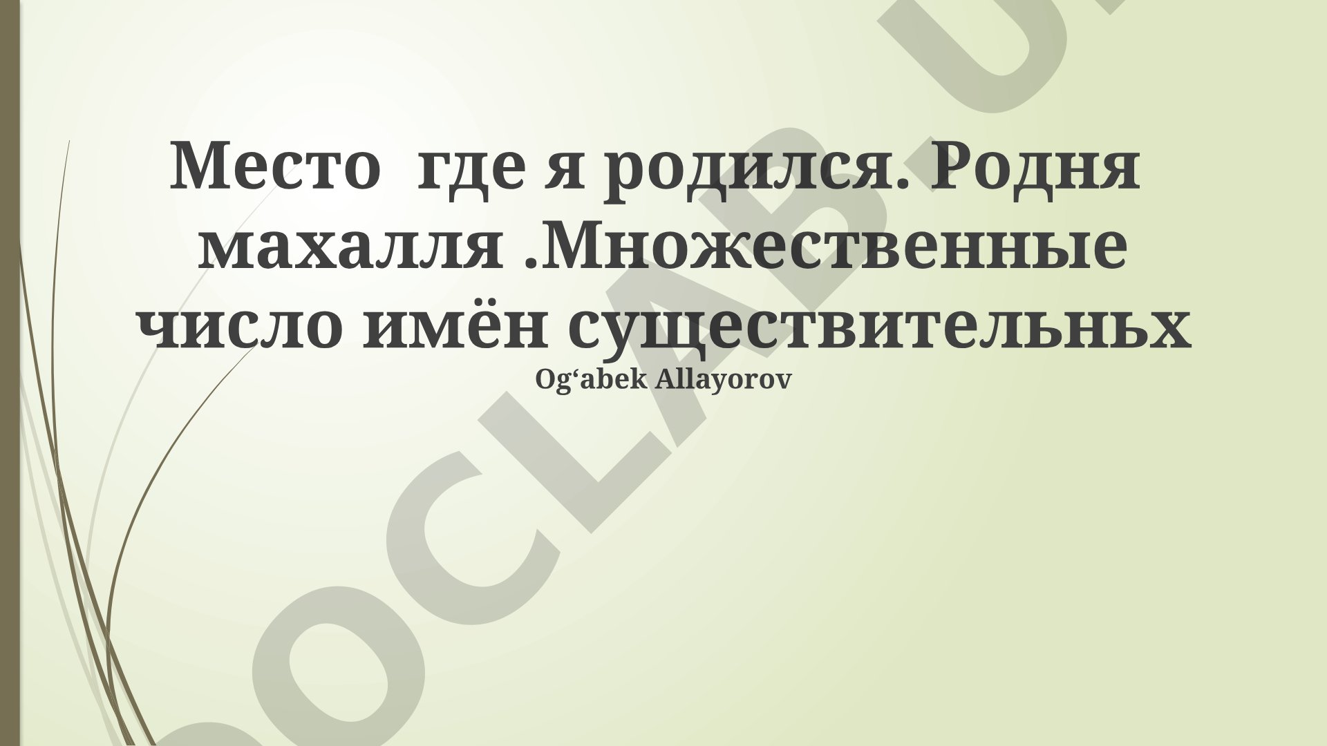 Место где я родился. Родня махалля. Множественное число имён существительных