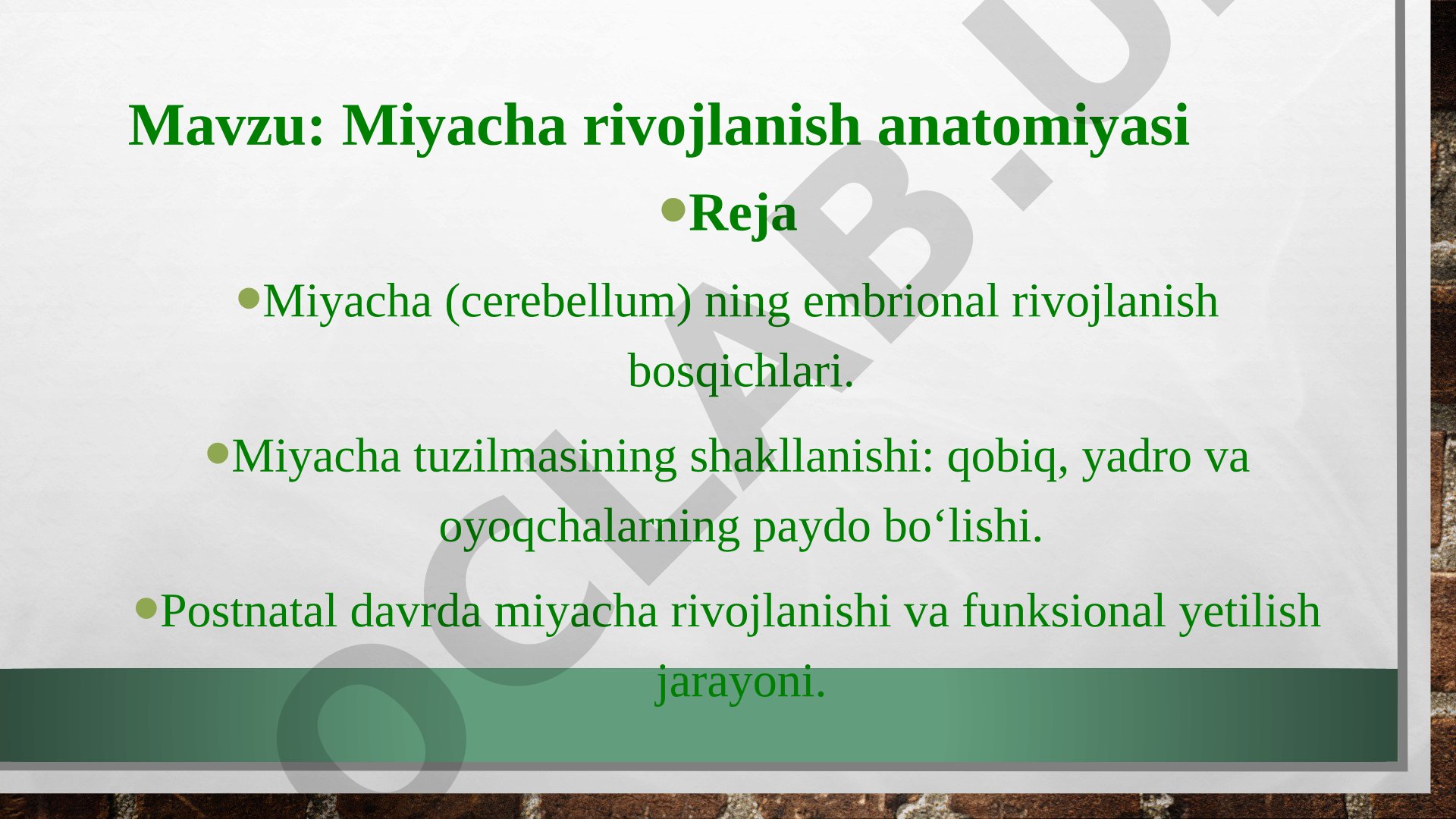Miyacha rivojlanish anatomiyasi
