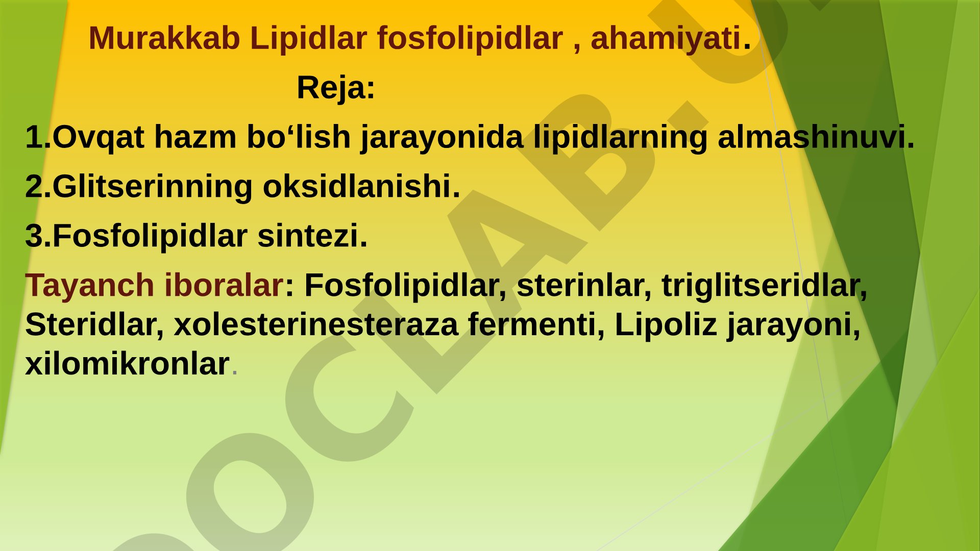 Murakkab Lipidlar fosfolipidlar, ahamiyati