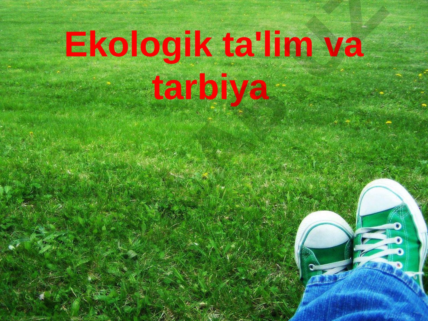 Ekologik ta'lim va tarbiya