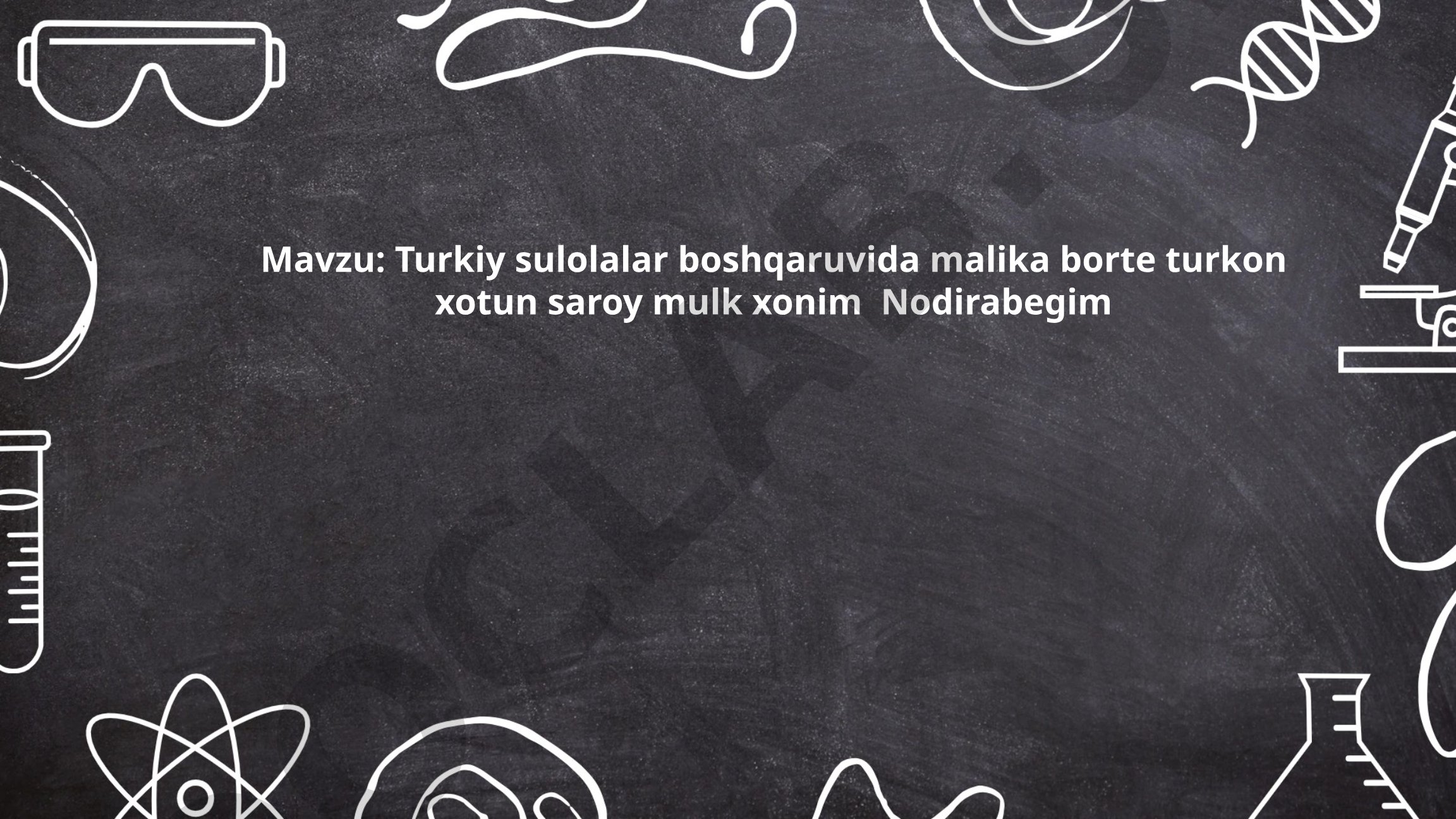 Turkiy sulolalar boshqaruvida malika borte turkon xotun saroy mulk xonim Nodirabegim