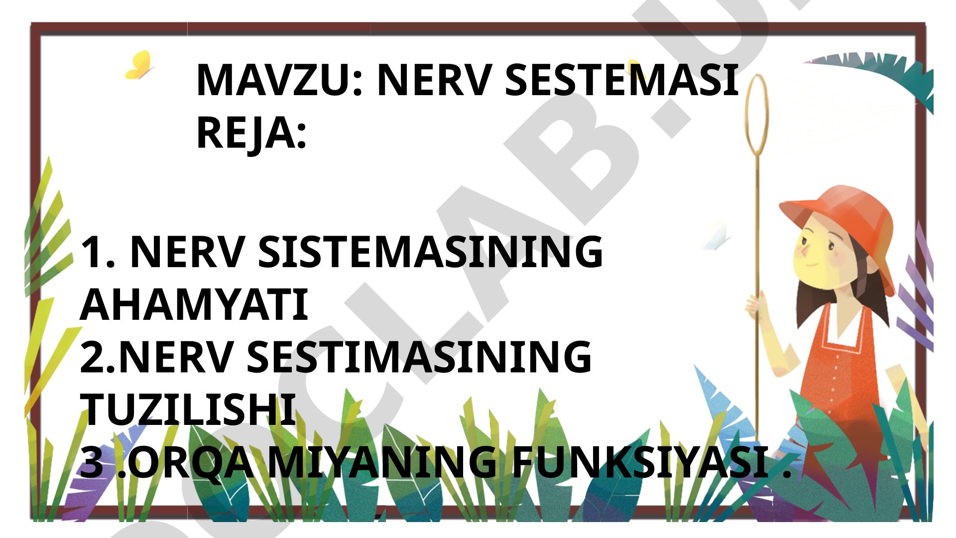Nerv sistemasining ahamiyati, tuzilishi va funksiyalari haqida taqdimot