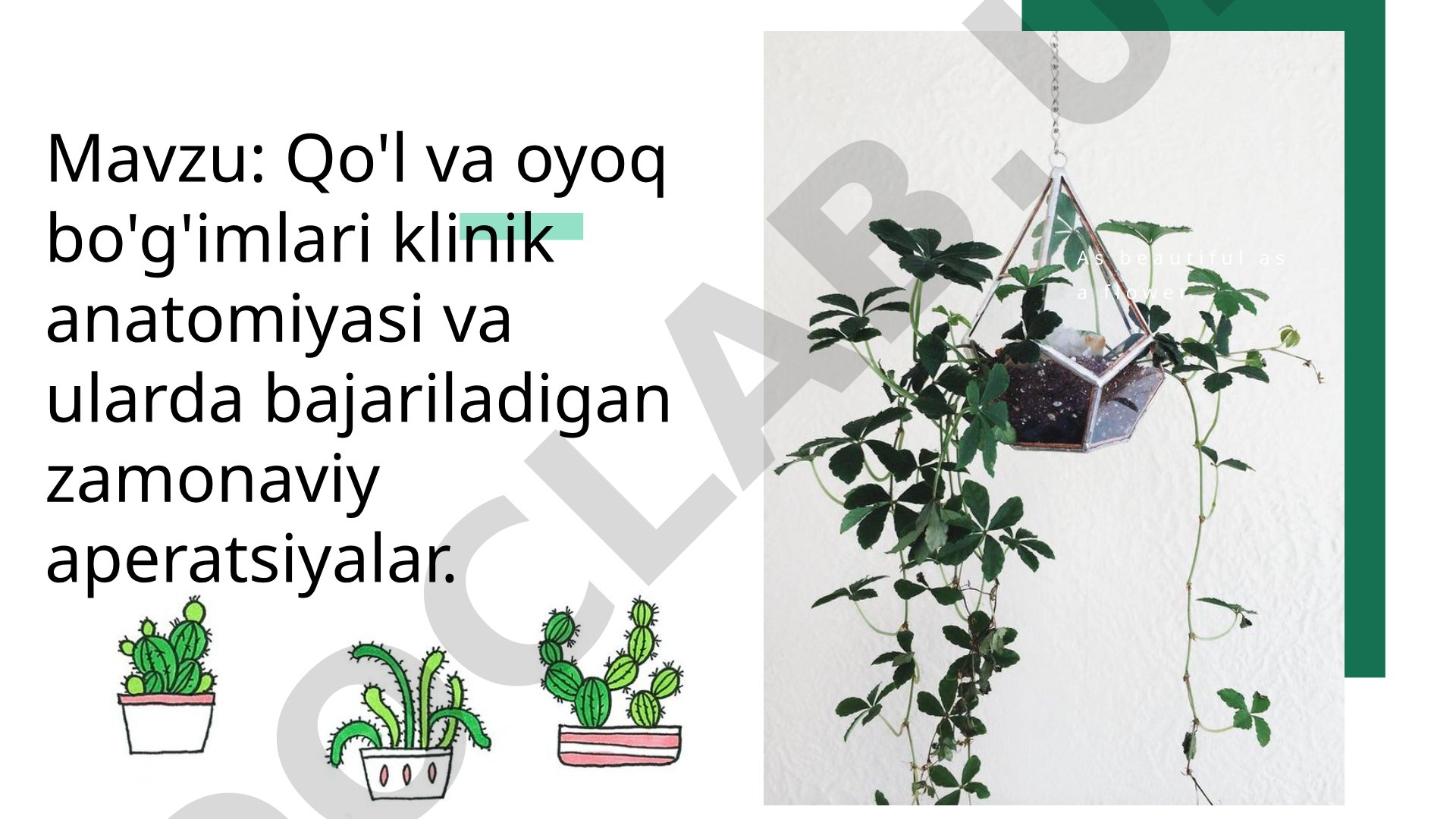 Qo'l va oyoq bo'g'imlari klinik anatomiyasi va ularda bajariladigan zamonaviy aperatsiyalar