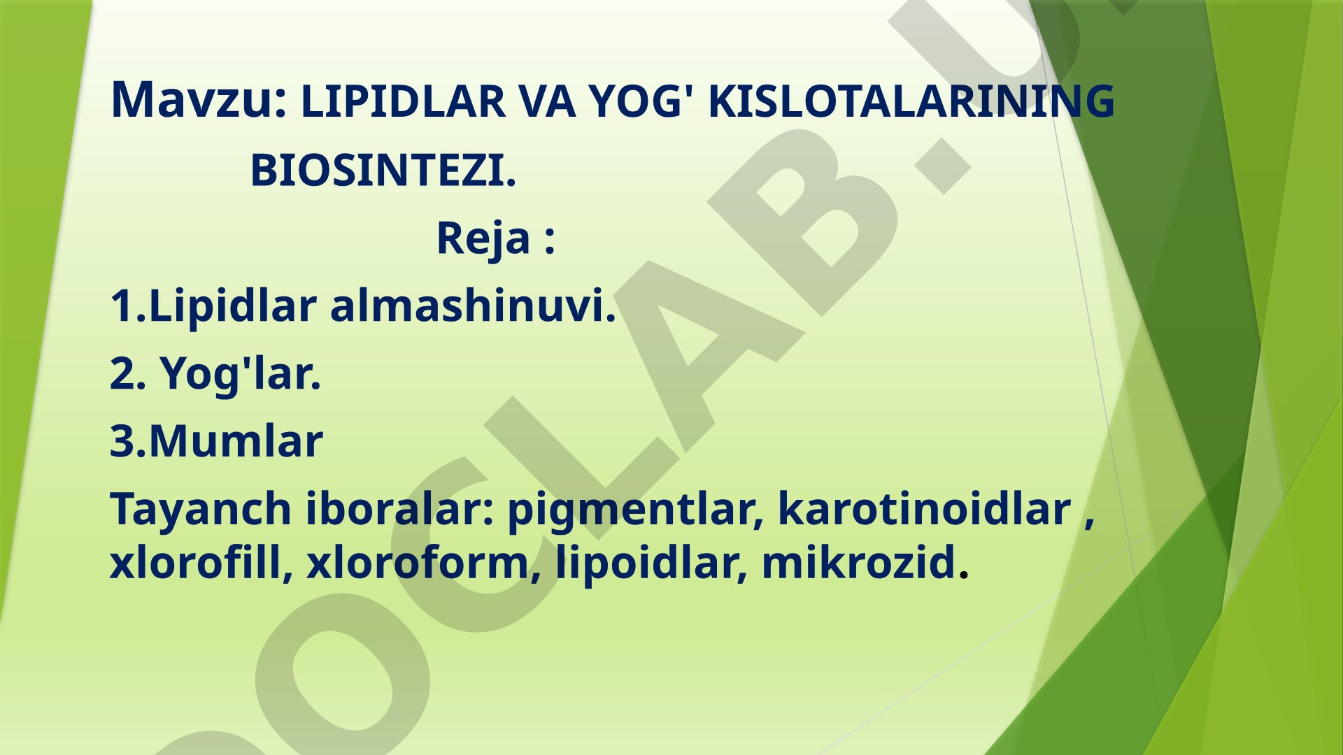 LIPIDLAR VA YOG' KISLOTALARINING BIOSINTEZI