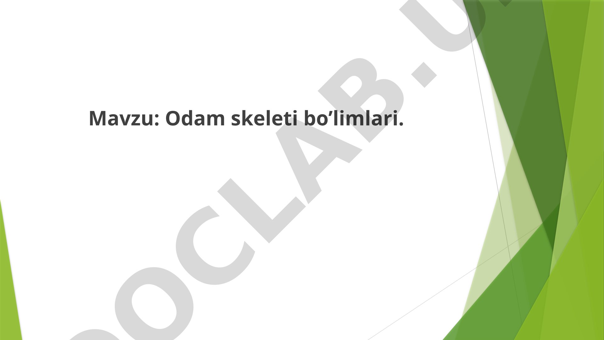 Odam skeleti bo'limlari