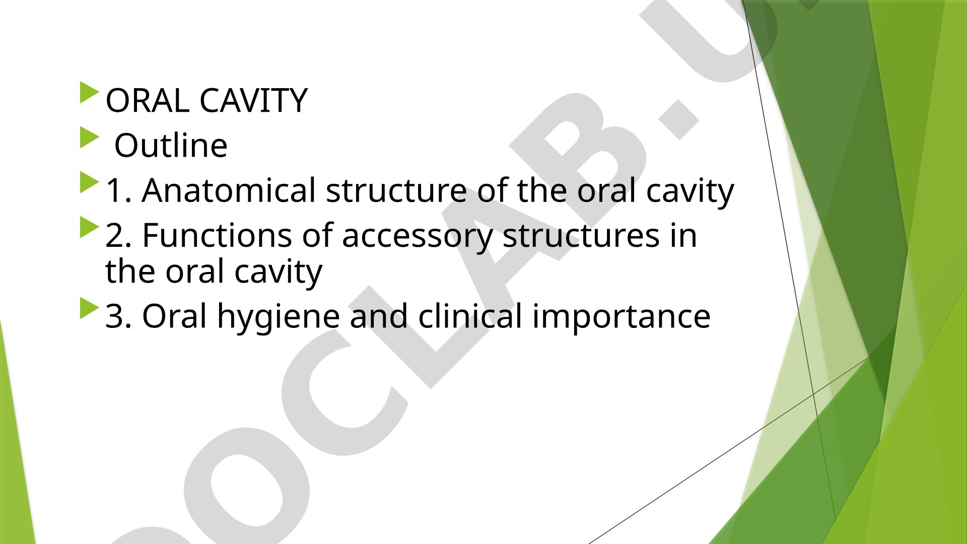 Oral Cavity Anatomy and Functions