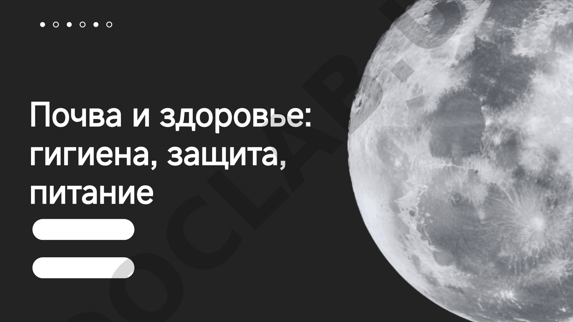 Почва и здоровье: гигиена, защита, питание