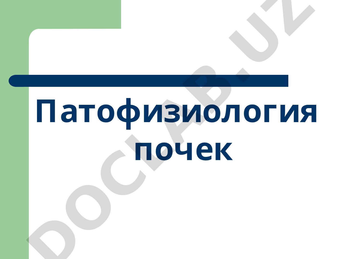Патофизиология почек: функции, процессы образования мочи и нарушения выделения