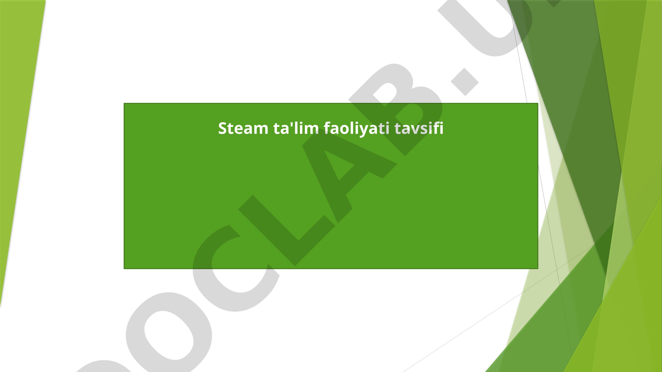 STEAM ta'lim faoliyati tavsifi
