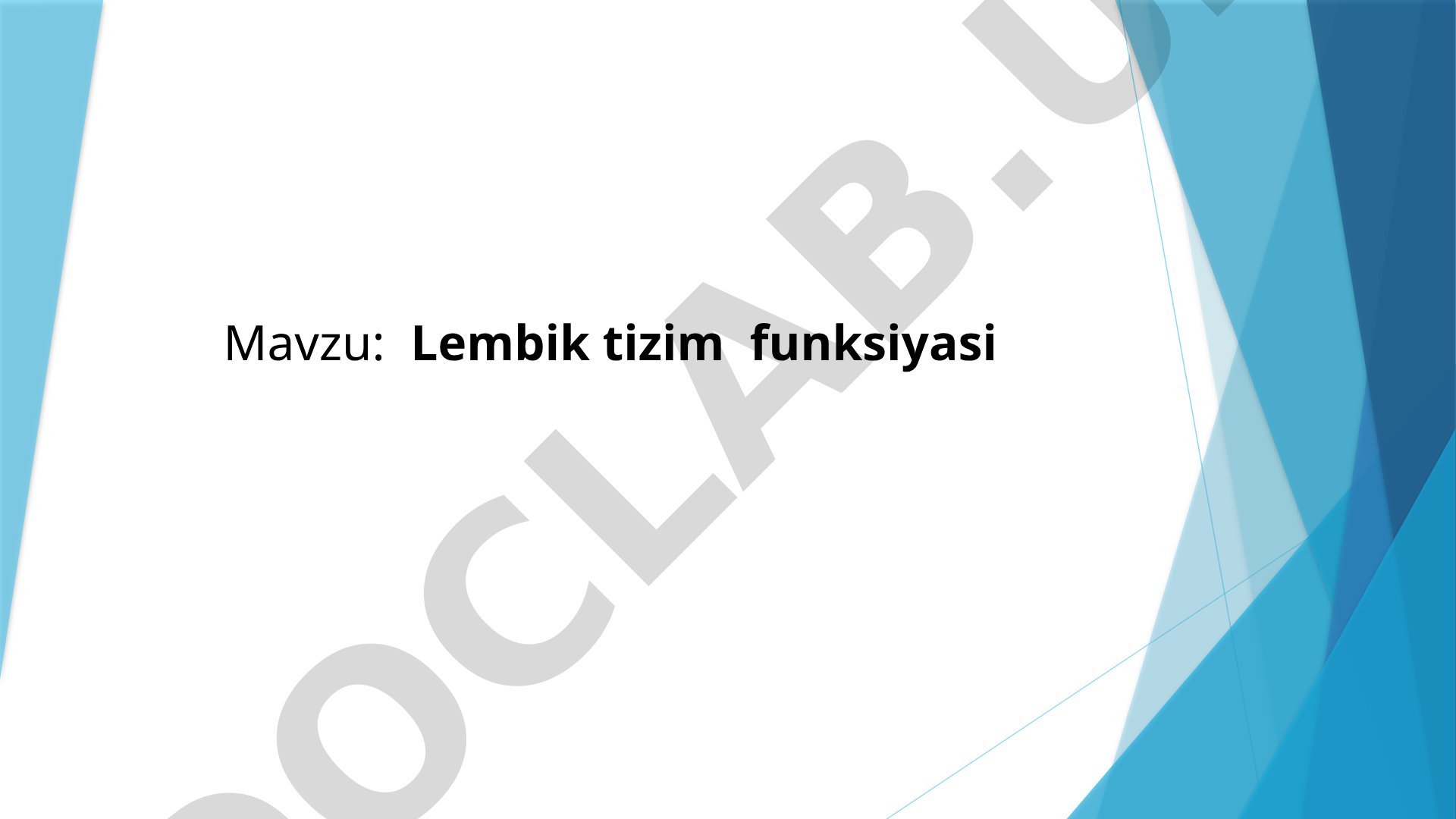 Limbik tizim funksiyasi