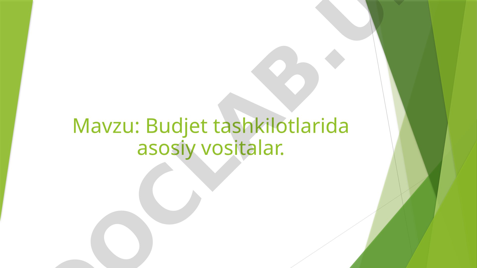 Budjet tashkilotlarida asosiy vositalar