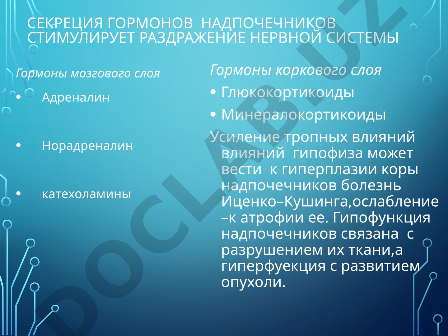 Секреция гормонов надпочечников и щитовидной железы