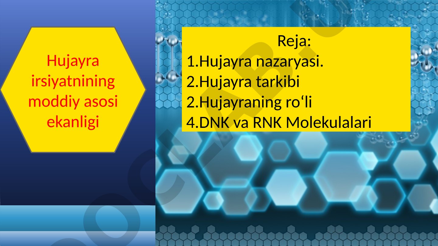 Hujayra irsiyatining moddiy asosi