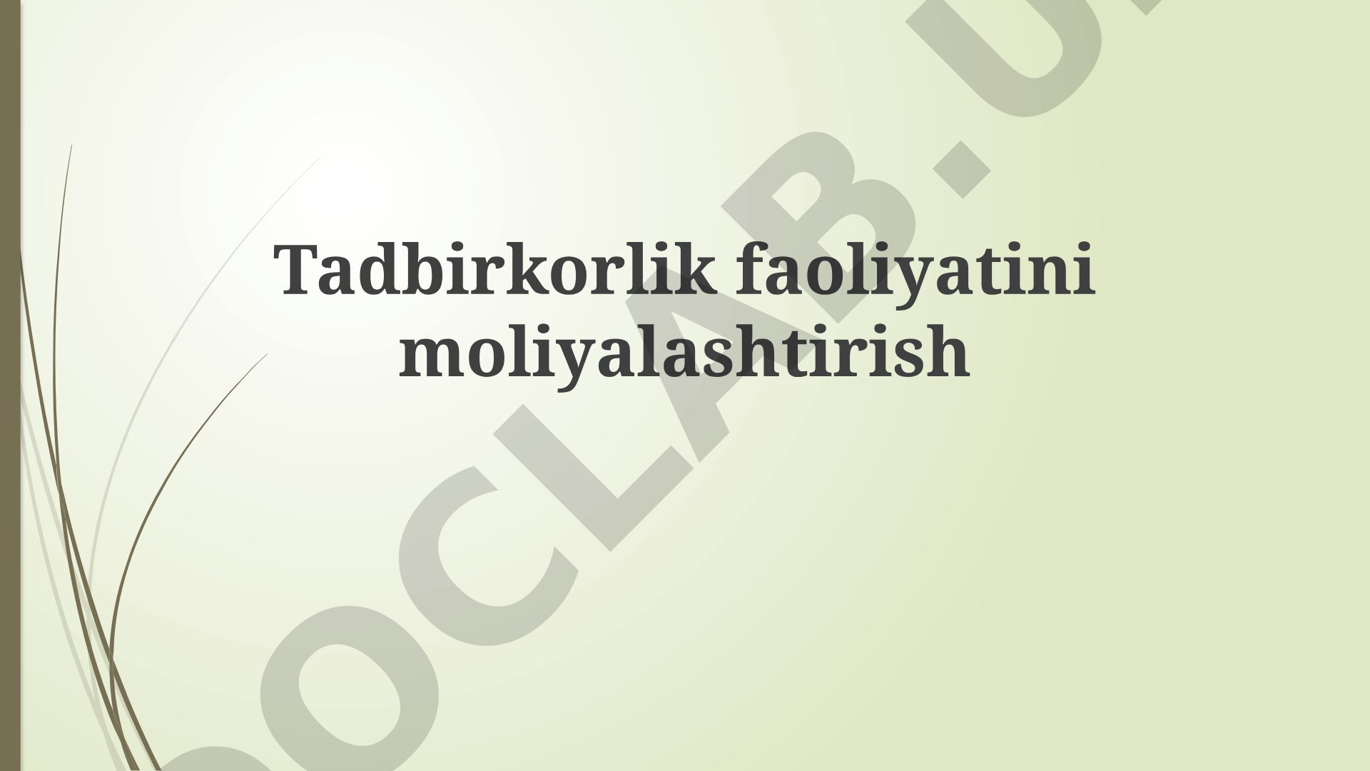 Tadbirkorlik faoliyatini moliyalashtirish