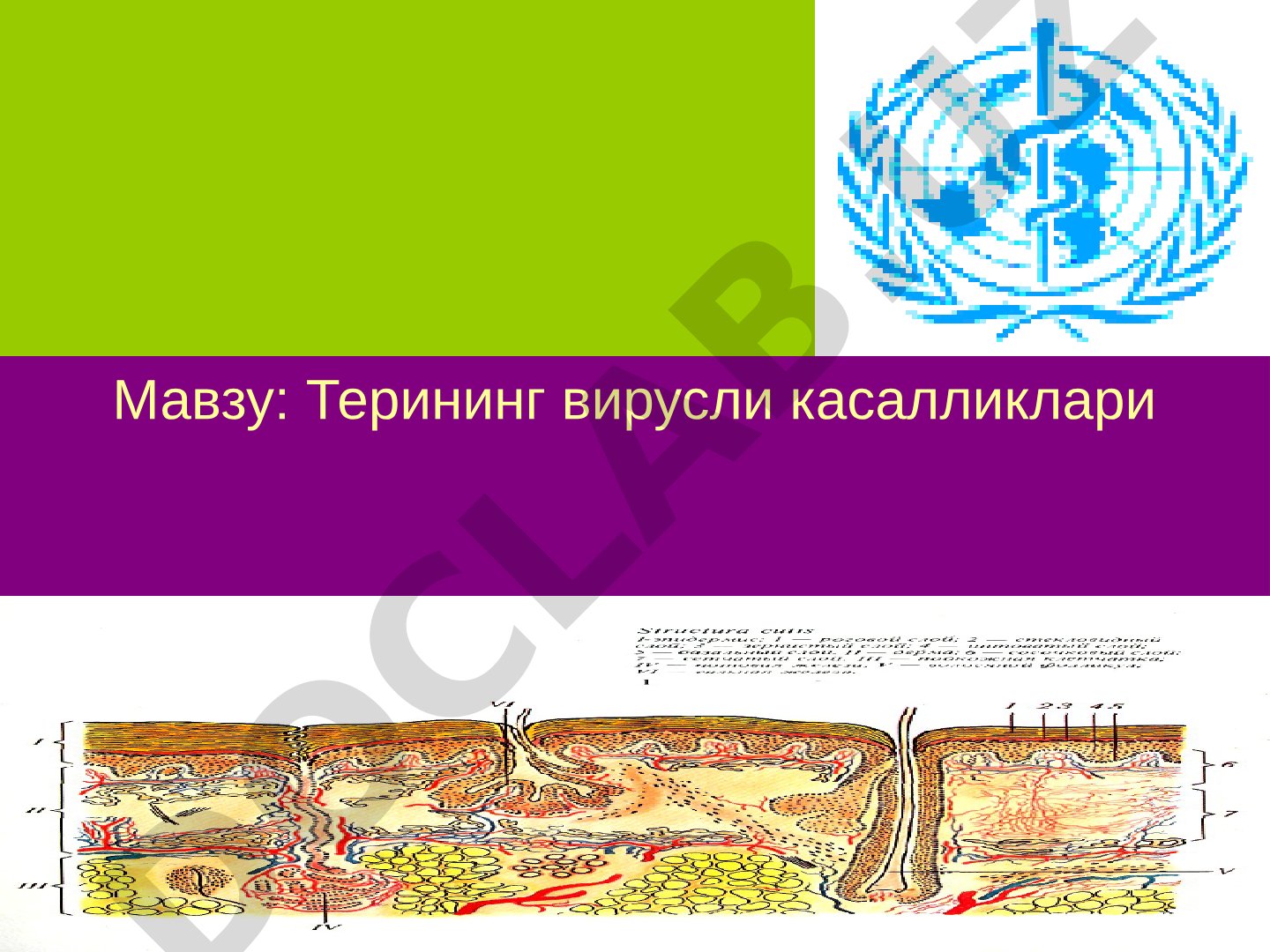 Терининг вирусли касалликлари