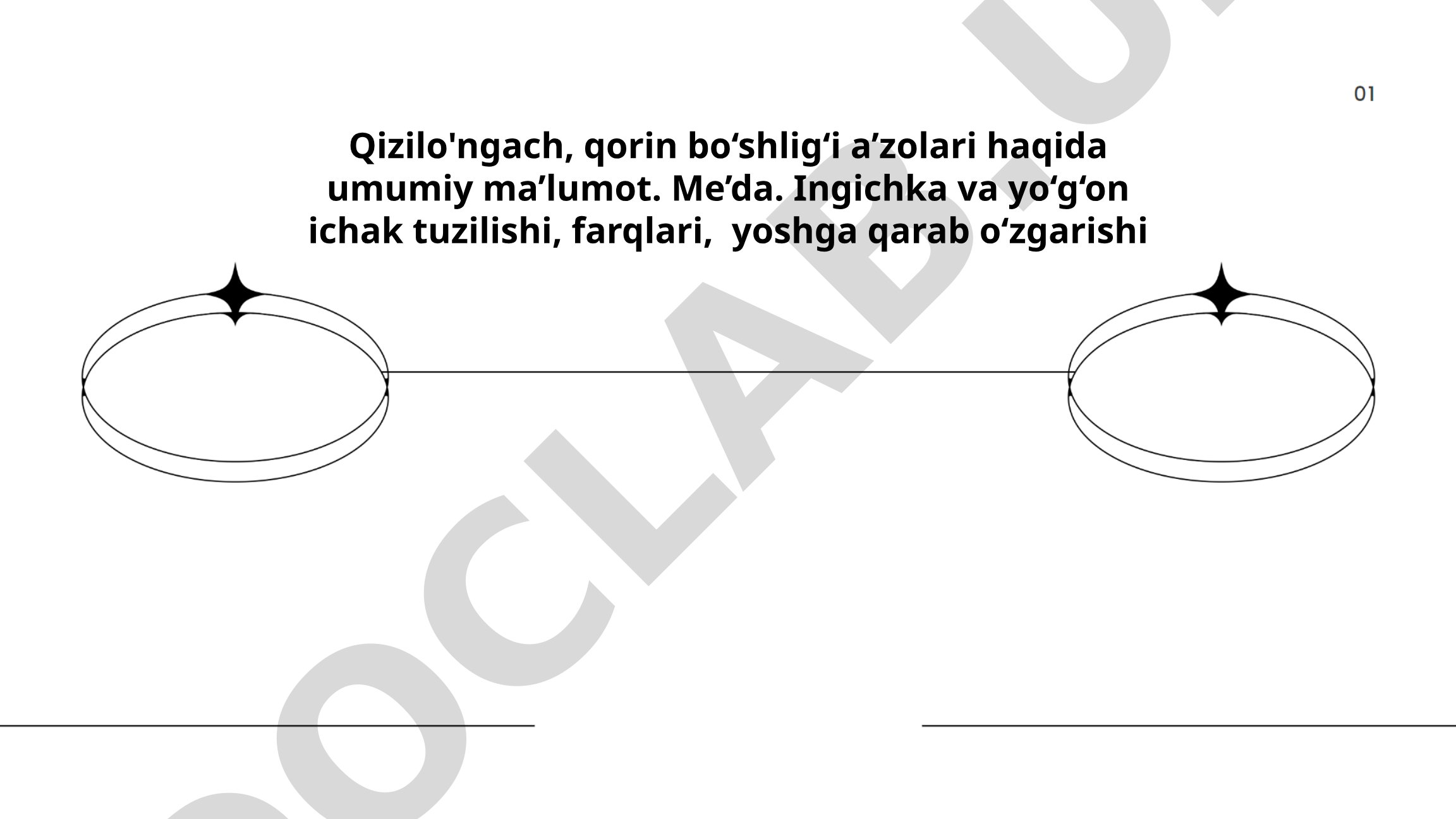 Qizilo'ngach, qorin bo'shlig'i a'zolari, me'da, ingichka va yo'g'on ichak tuzilishi