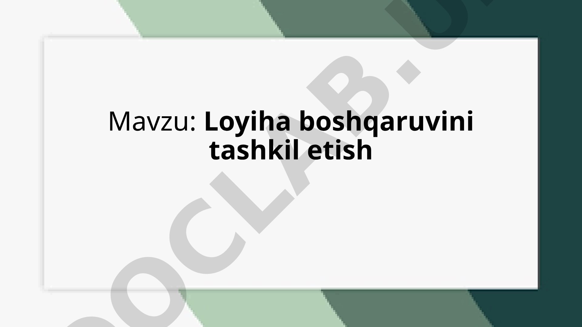 Loyiha boshqaruvini tashkil etish