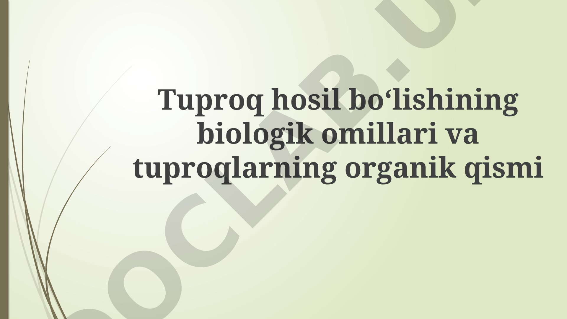Tuproq hosil boʻlishining biologik omillari va tuproqlarning organik qismi
