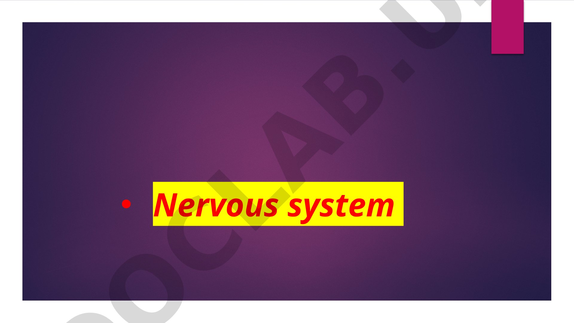 The nervous system structure: CNS, PNS, and functions
