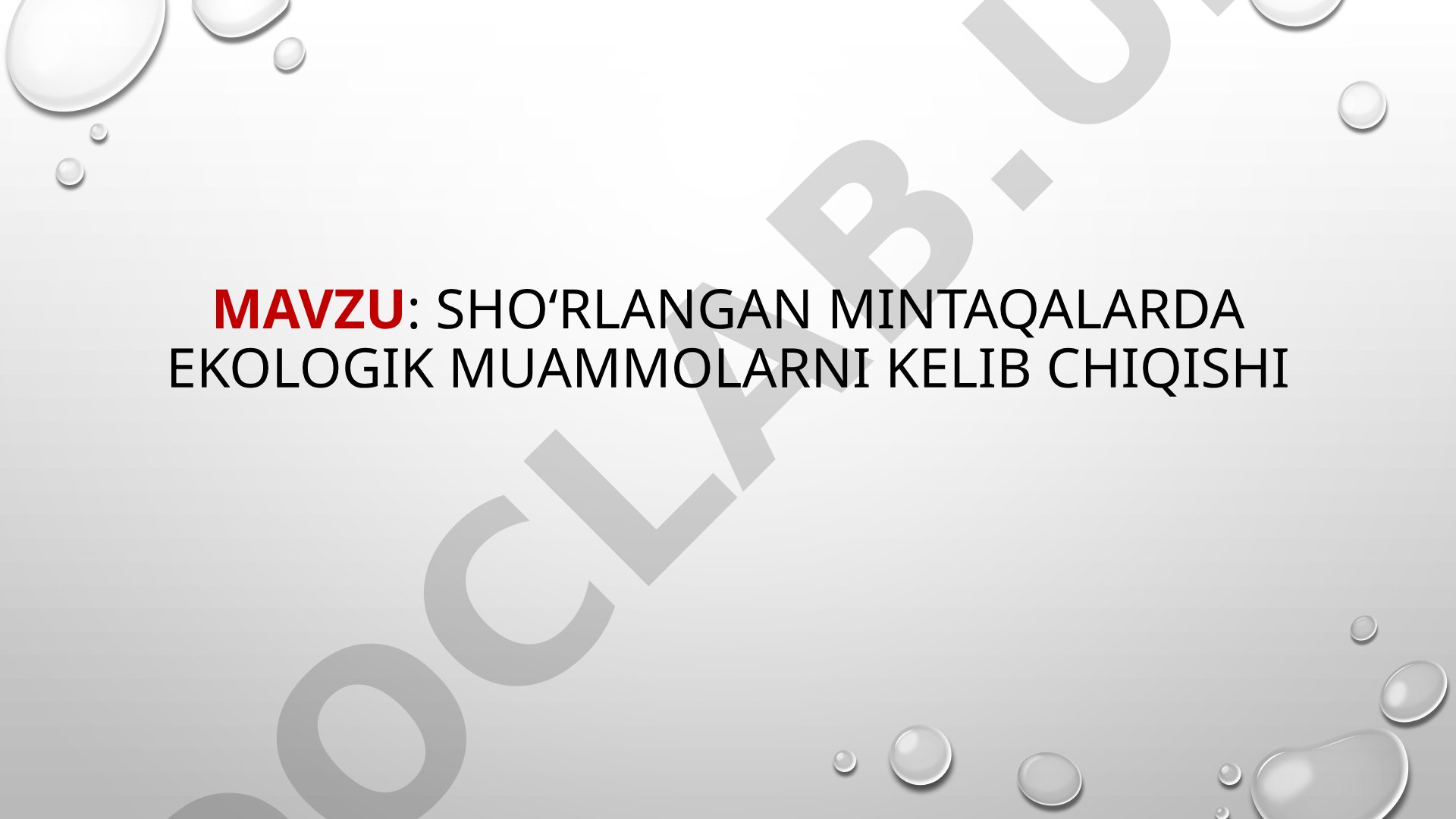 Shoʻrlangan mintaqalarda ekologik muammolarni kelib chiqishi
