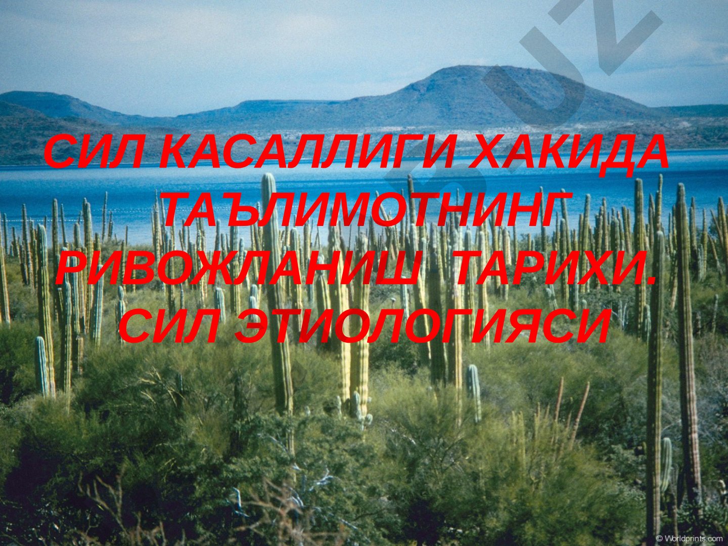 Сил касаллиги ҳақида таълимотнинг ривожланиш тарихи ва этиологияси