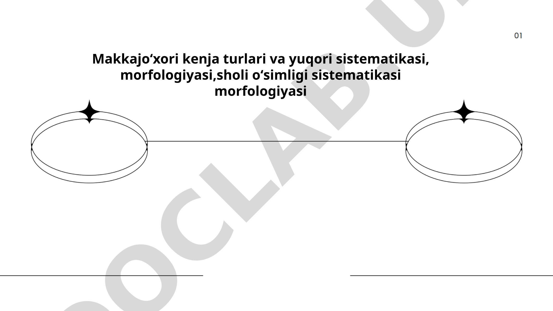 Makkajoʻxori turlarining sistematikasi va morfologiyasi