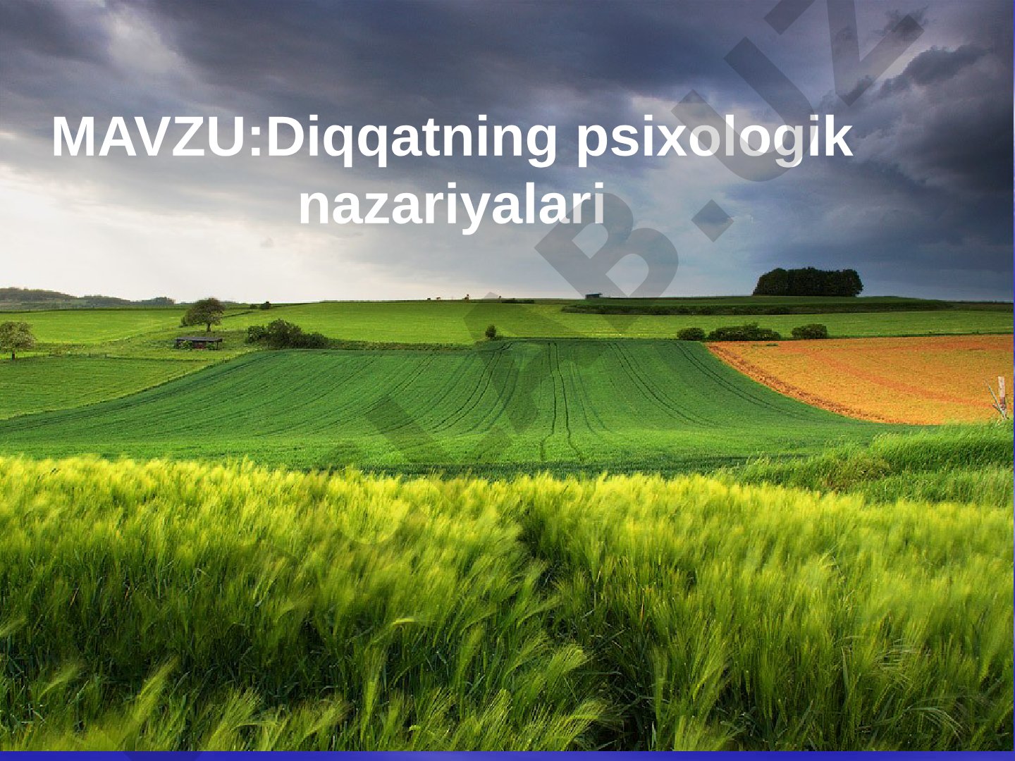 Diqqatning psixologik nazariyalari