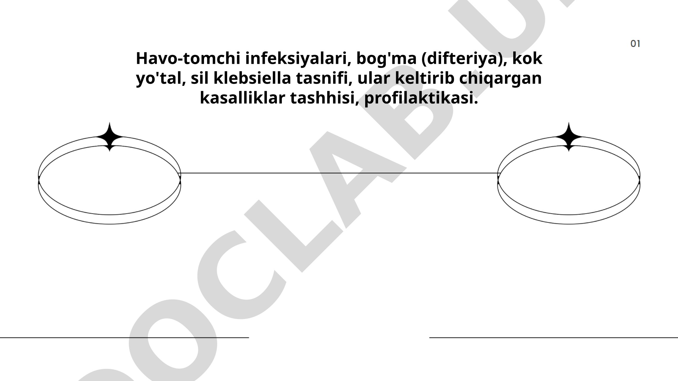 Havo-tomchi infeksiyalari: bog'ma (difteriya), kok yo'tal, sil klebsiella tasnifi, ular keltirib chiqargan kasalliklar tashhisi, profilaktikasi