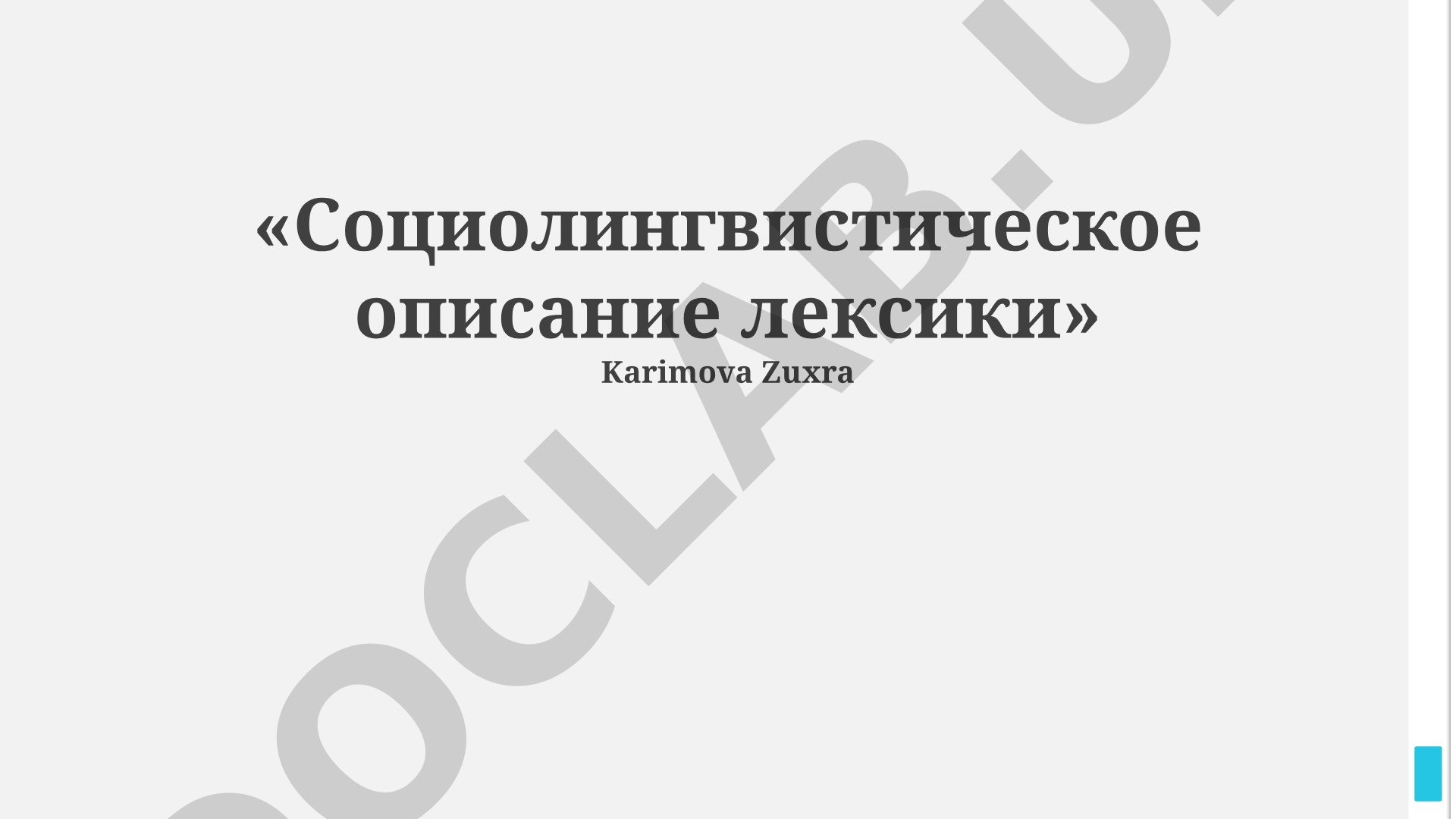 Социолингвистическое описание лексики