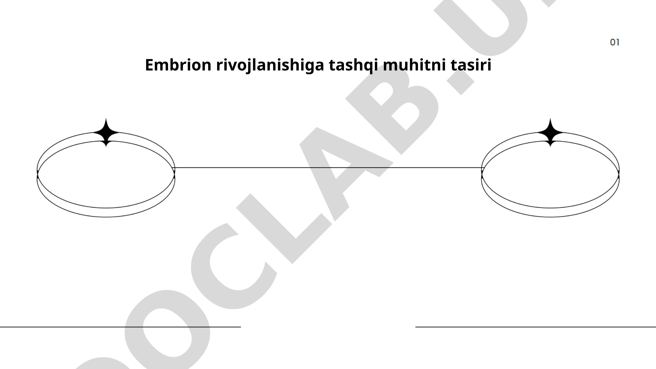 Embrion rivojlanishiga tashqi muhitni tasiri
