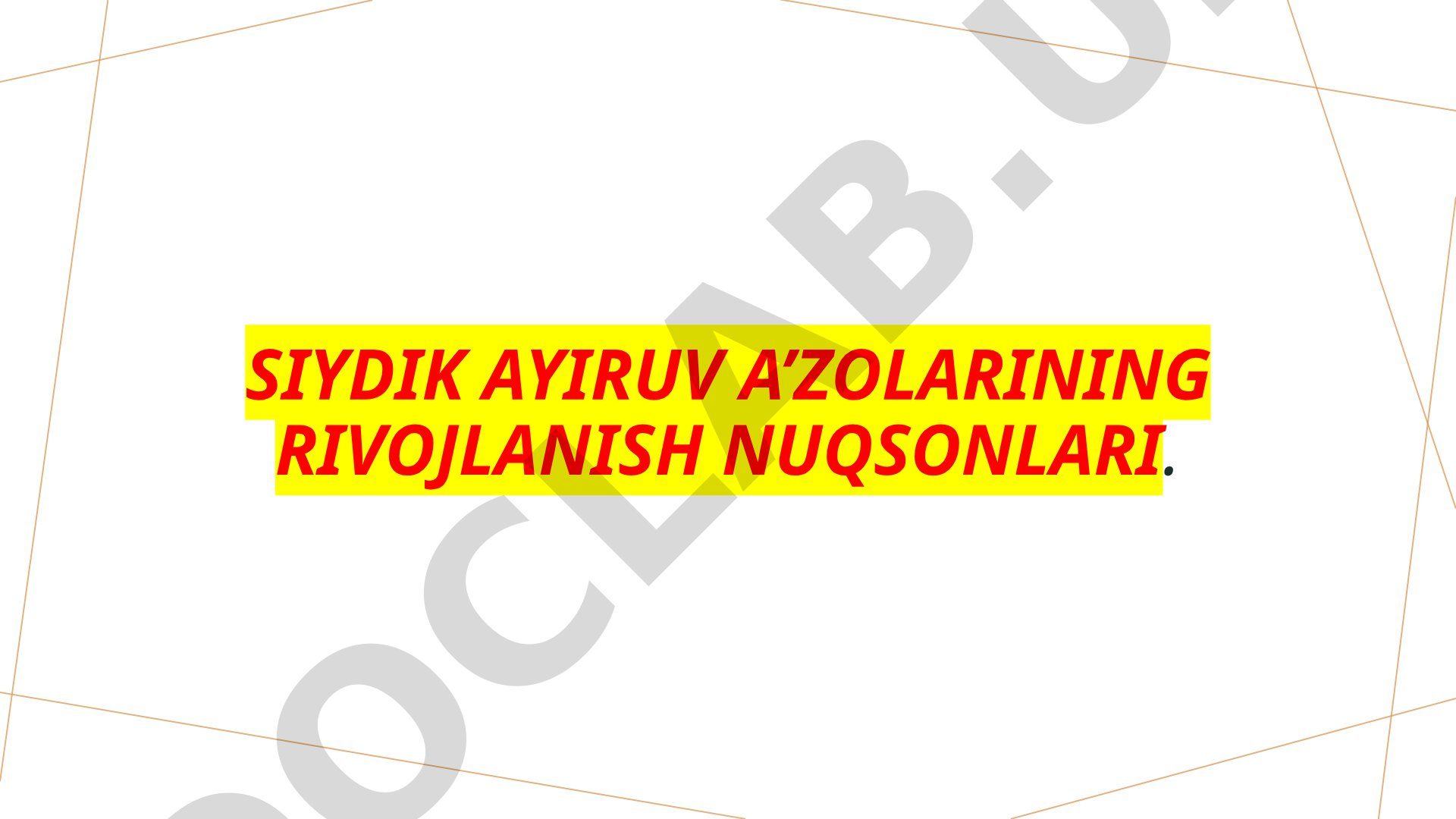 Siydik ayiruv a’zolarining rivojlanish nuqsonlari