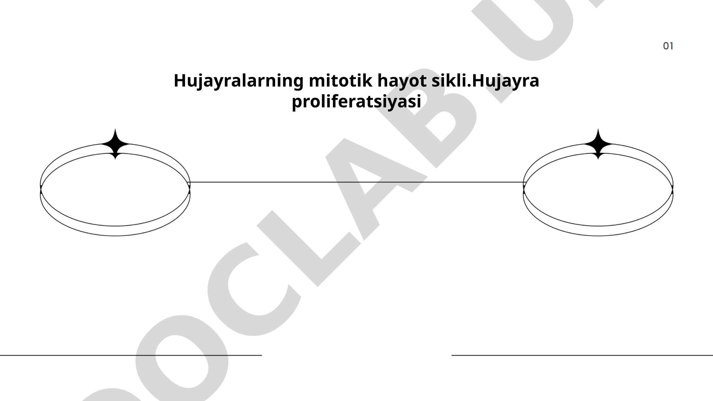 Hujayralarning mitotik hayot sikli va hujayra proliferatsiyasi