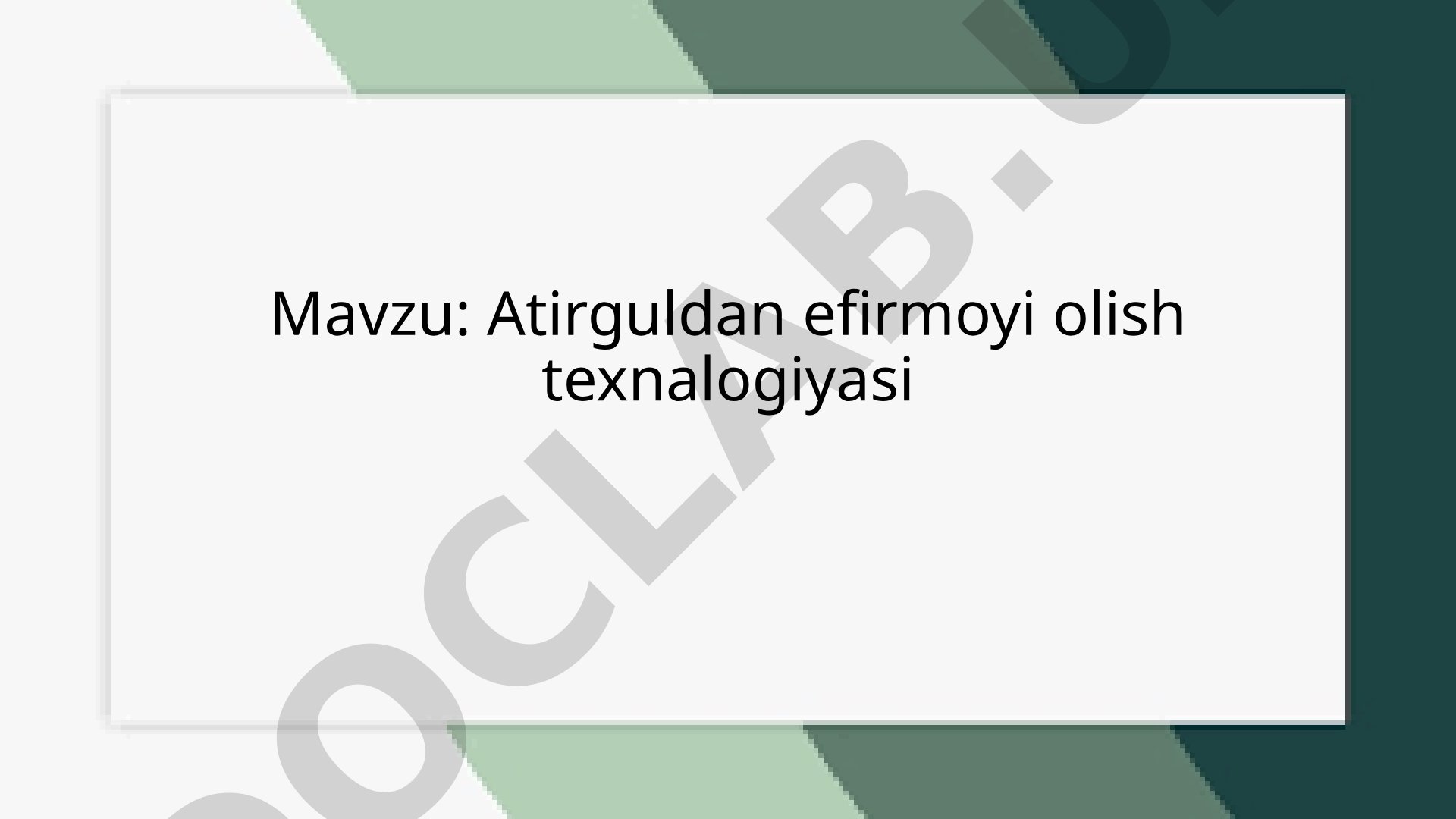 Atirguldan efirmoyi olish texnalogiyasi