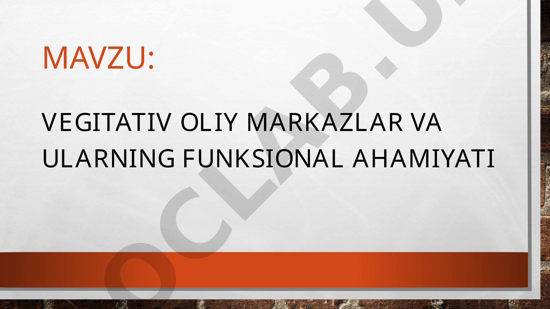 Vegitativ oliy markazlar va ularning funksional ahamiyati
