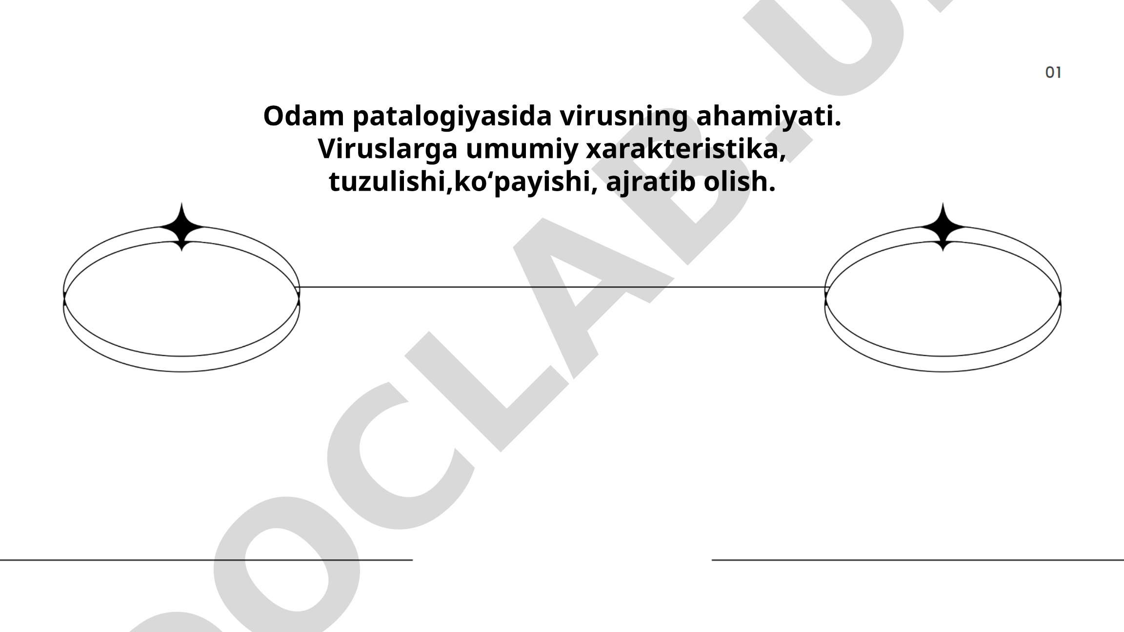 Odam patologiyasida virusning ahamiyati