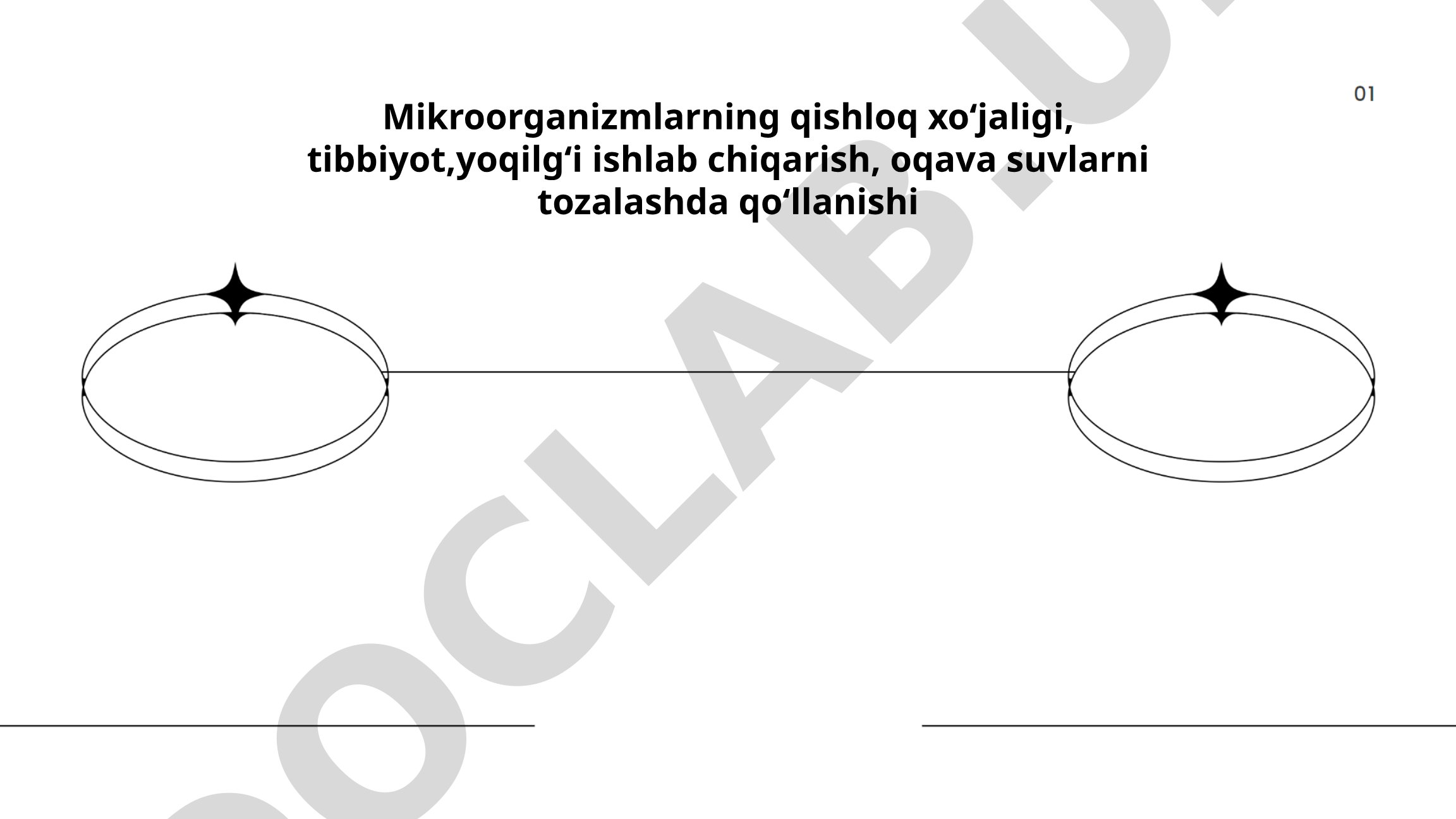 Mikroorganizmlarning qishloq xoʻjaligi, tibbiyot, yoqilgʻi ishlab chiqarish, oqava suvlarni tozalashda qoʻllanishi