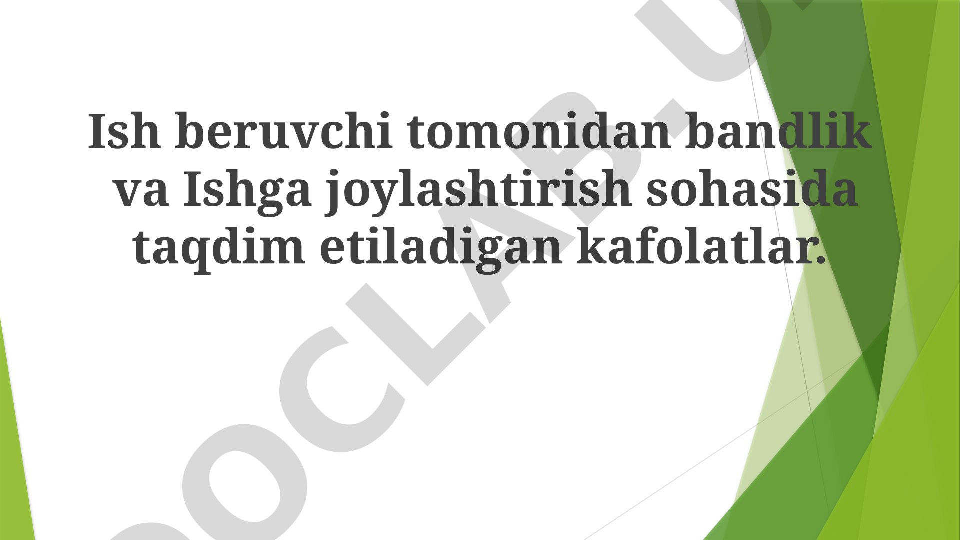 Ish beruvchi tomonidan bandlik va ishga joylashtirish sohasida taqdim etiladigan kafolatlar