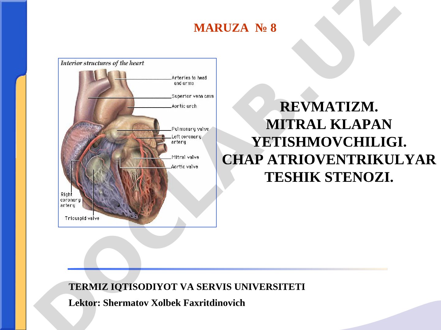Revmatizm, mitral klapan yetishmovchiligi, chap atrioventrikulyar teshik stenozi