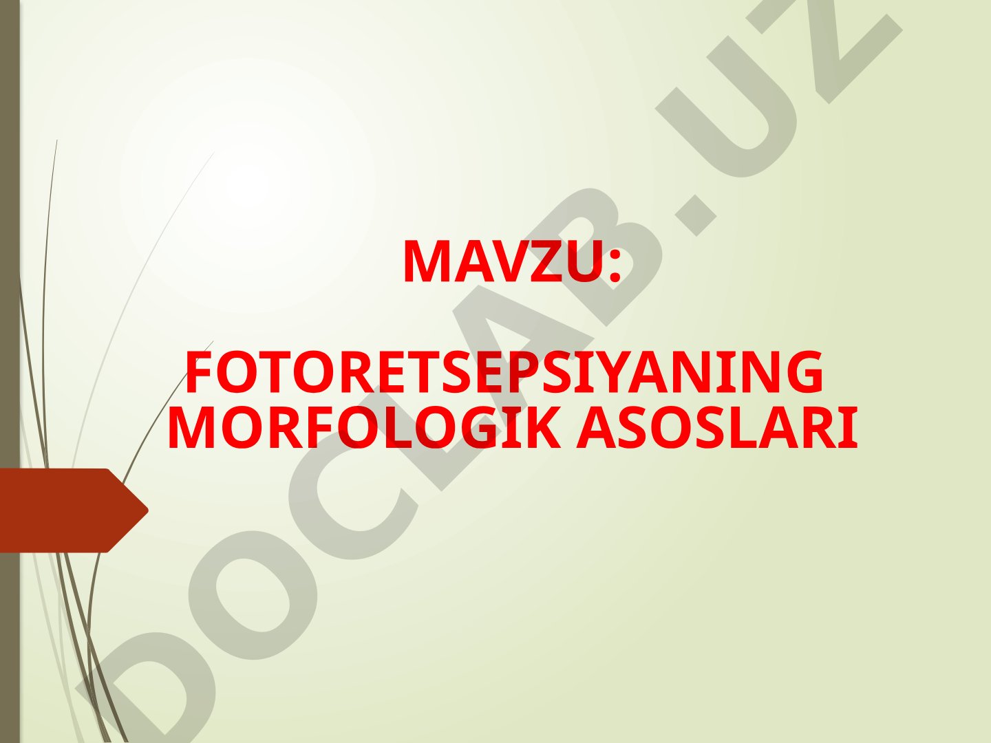 Fotoretsepsiyaning morfologik asoslari